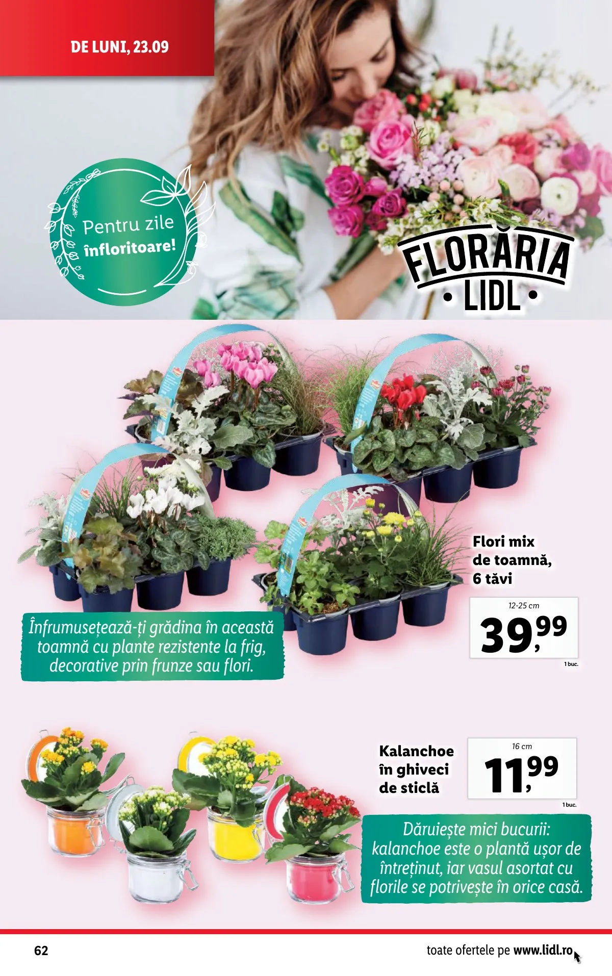 Lidl akciós újság Románia 09.23–09.29 – 62. oldal