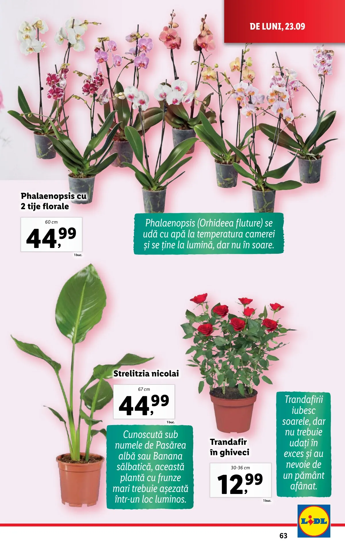 Lidl akciós újság Románia 09.23–09.29 – 63. oldal