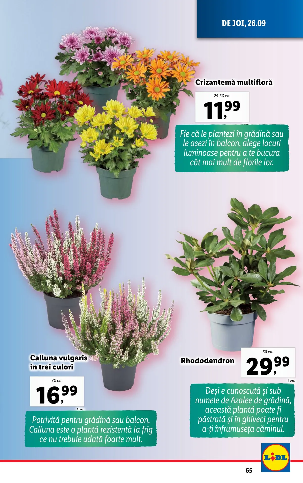 Lidl akciós újság Románia 09.23–09.29 – 65. oldal