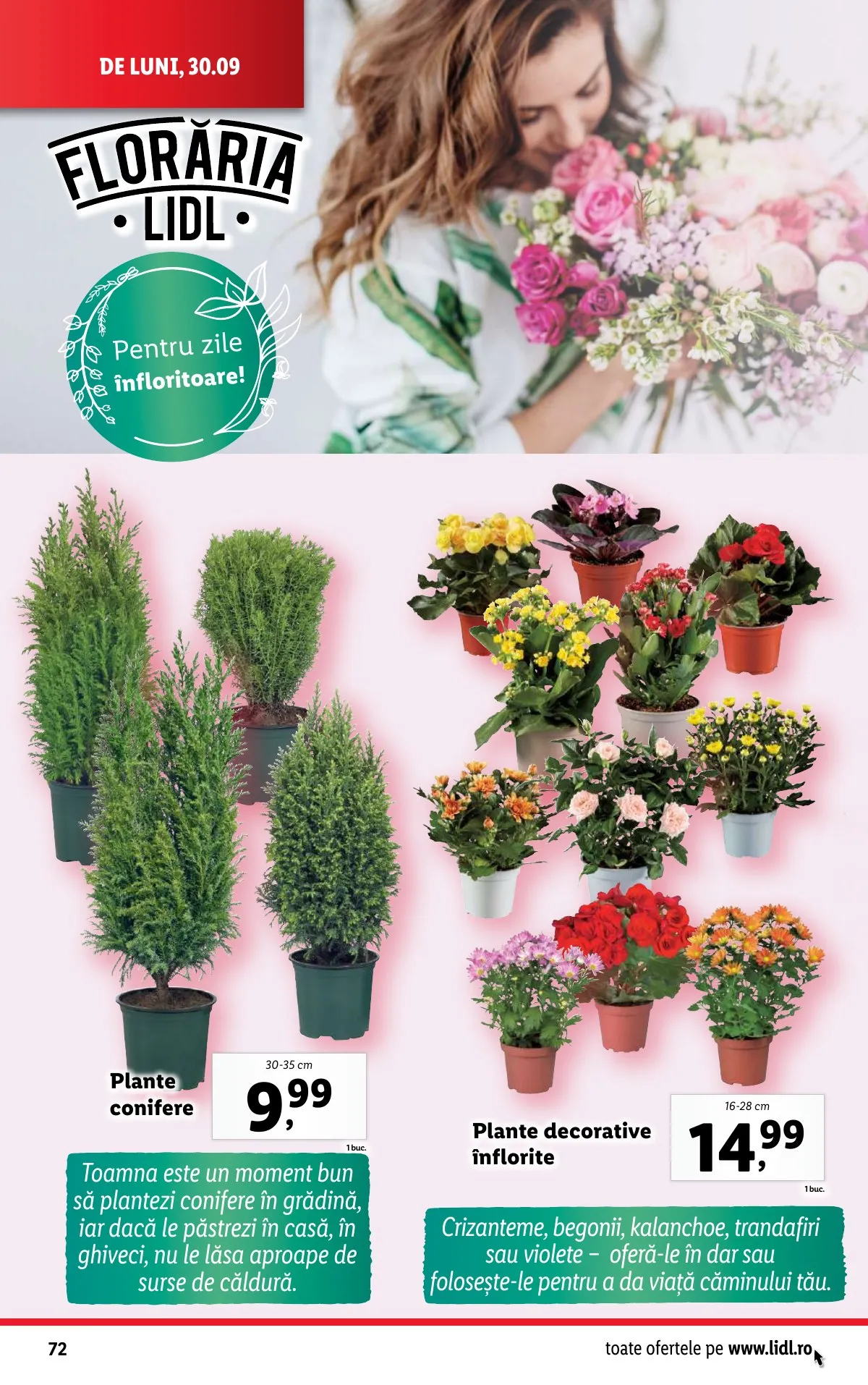 Lidl akciós újság Románia 09.30–10.06 – 72. oldal