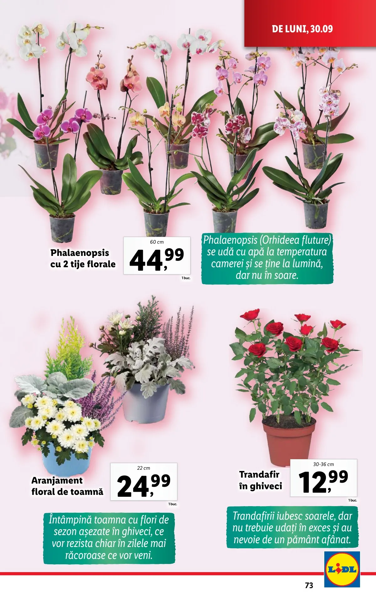 Lidl akciós újság Románia 09.30–10.06 – 73. oldal
