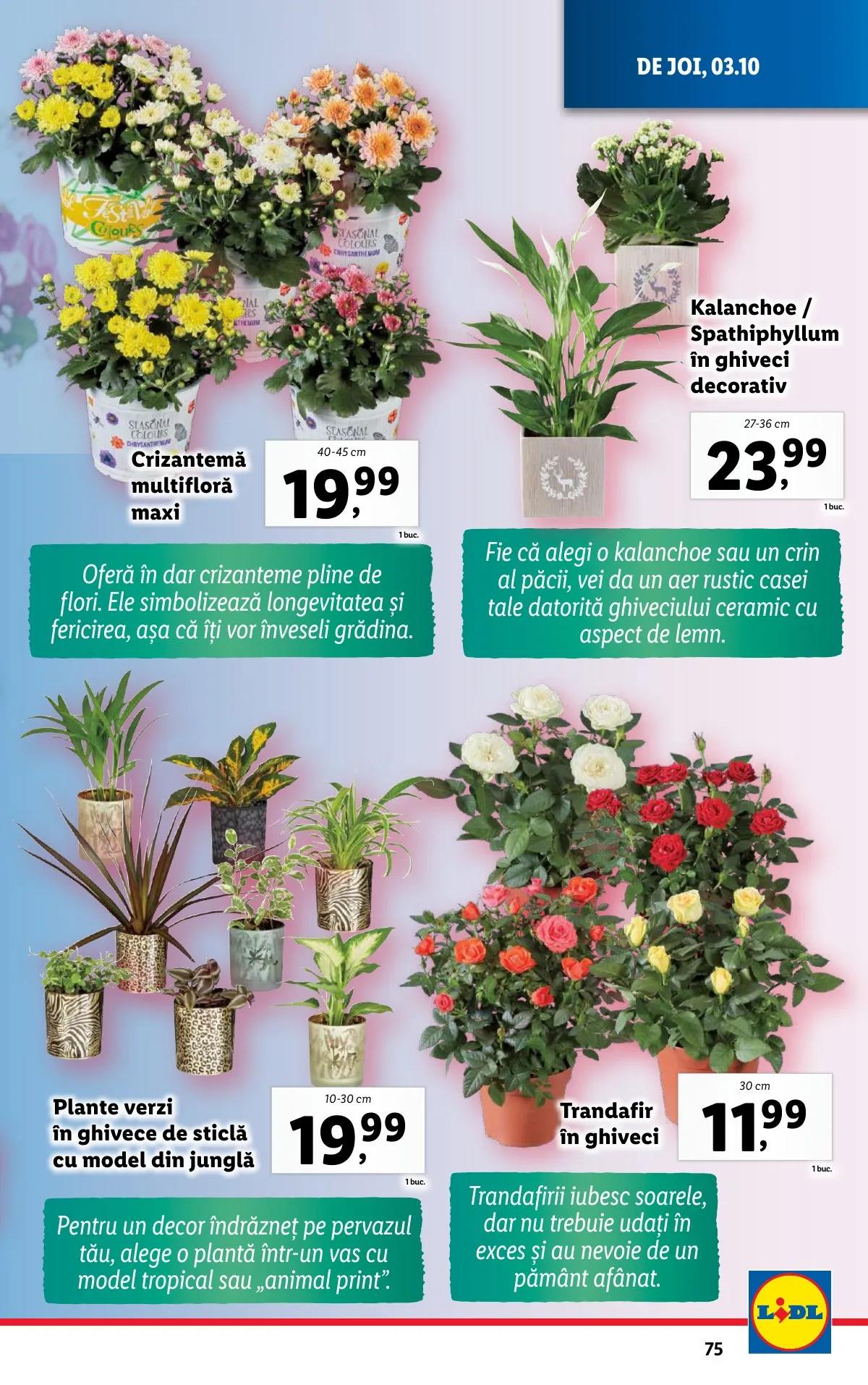 Lidl akciós újság Románia 09.30–10.06 – 75. oldal