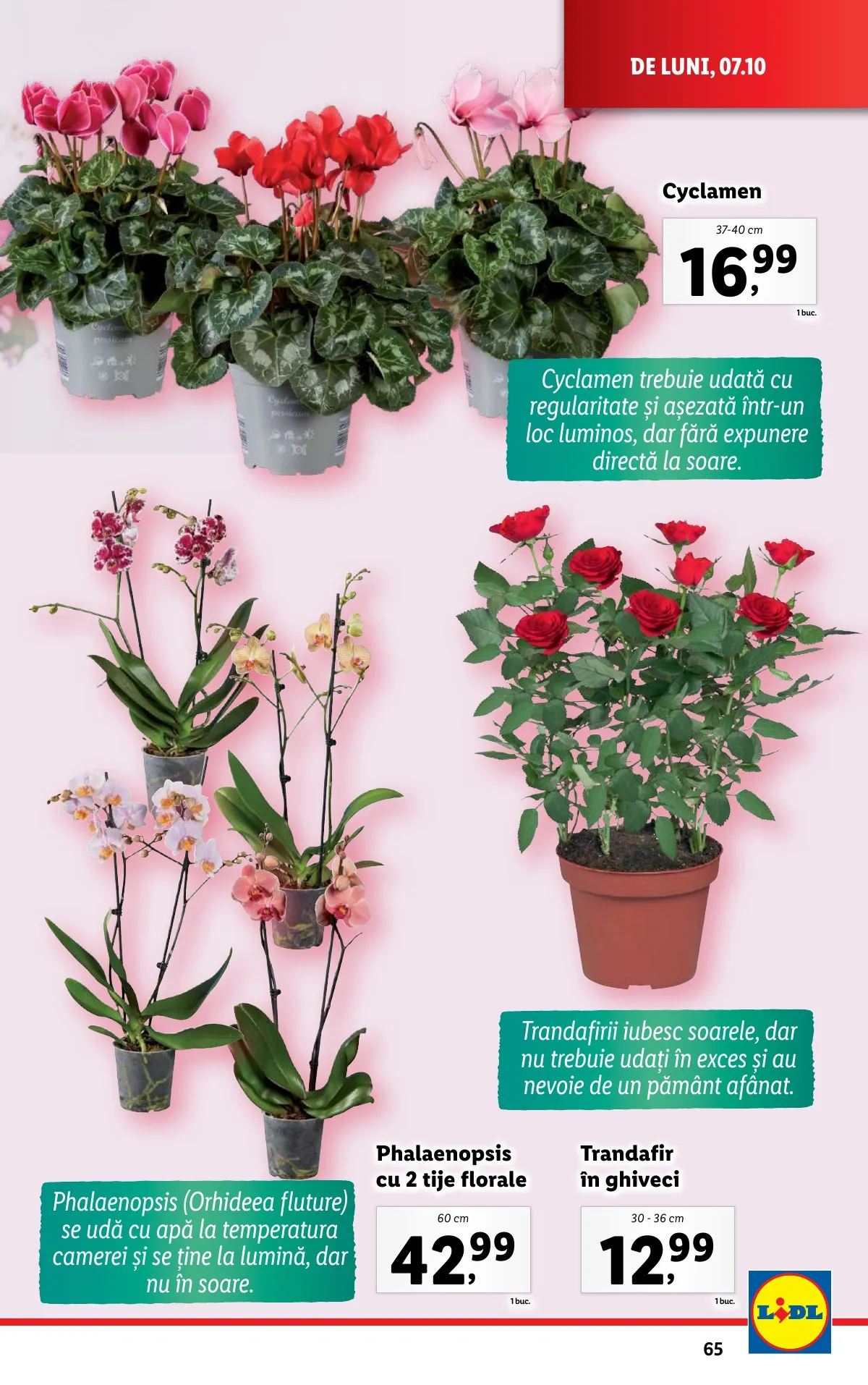 Lidl akciós újság Románia 10.07–10.13 – 65. oldal