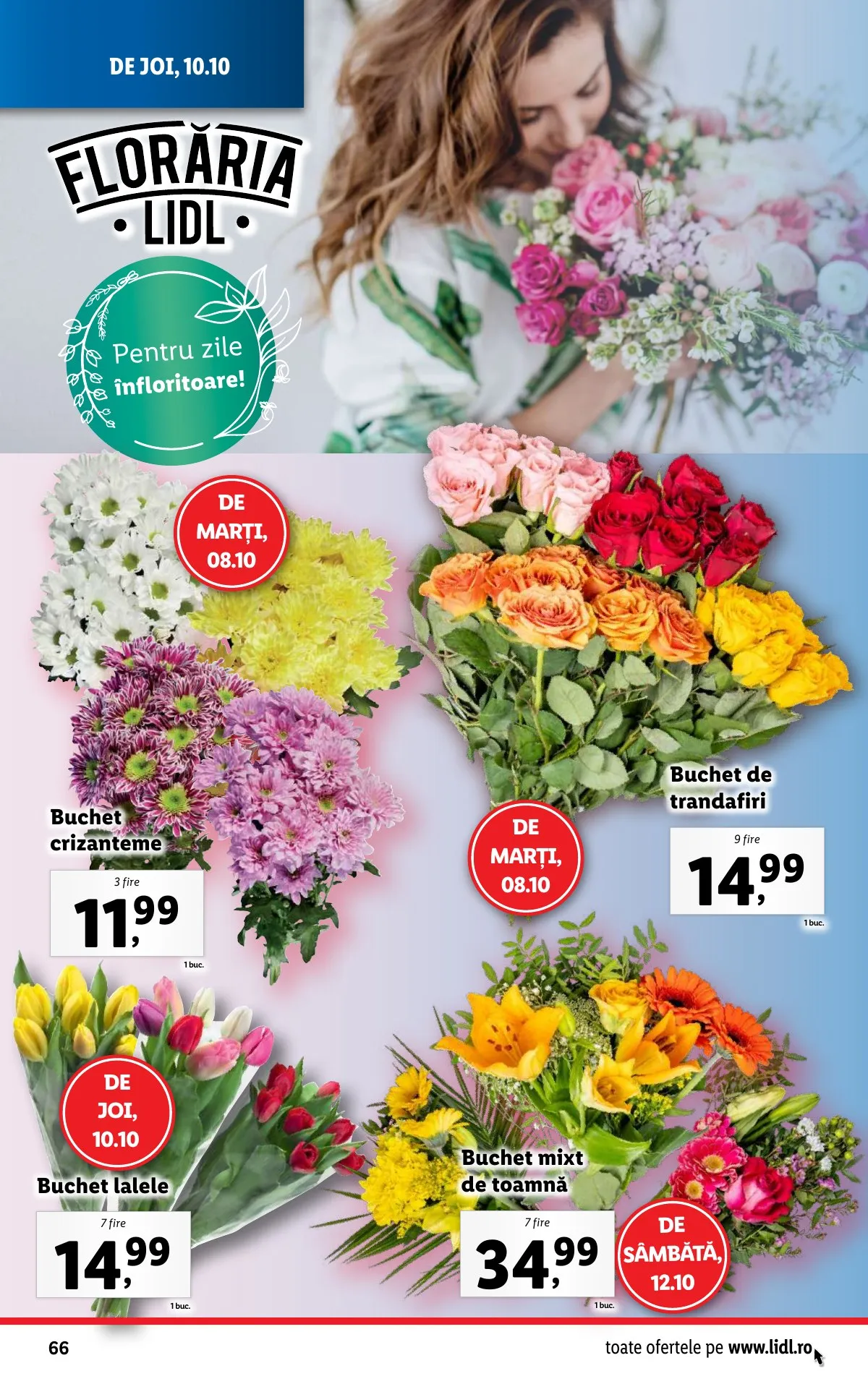 Lidl akciós újság Románia 10.07–10.13 – 66. oldal