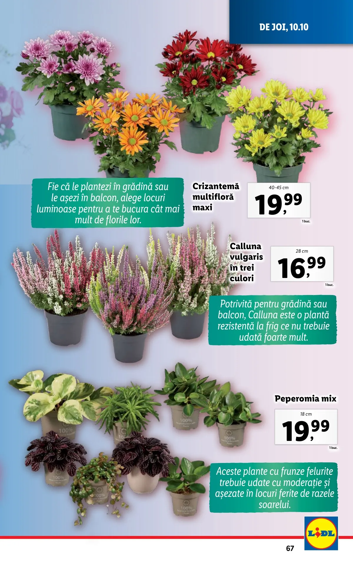 Lidl akciós újság Románia 10.07–10.13 – 67. oldal