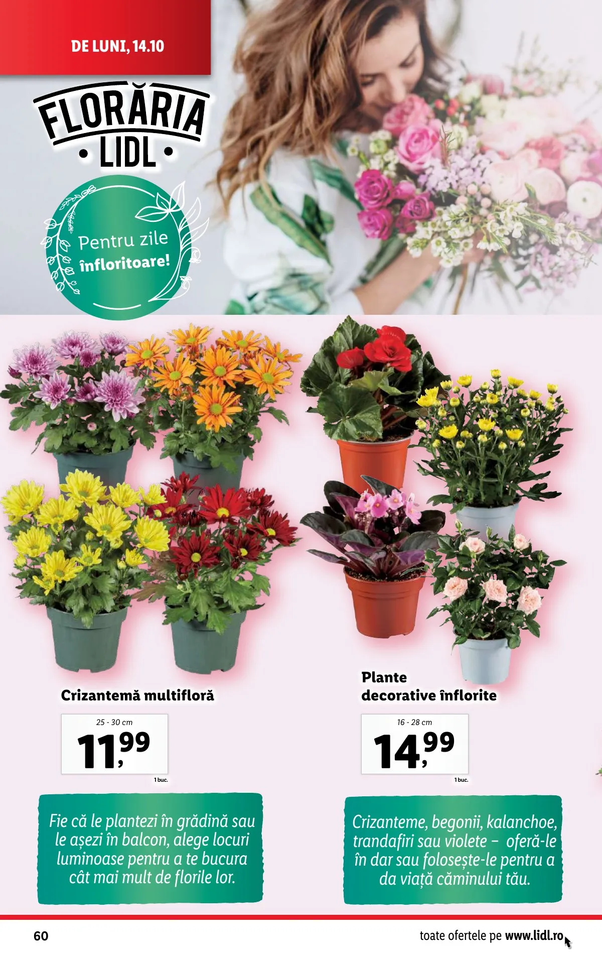 Lidl akciós újság Románia 10.14–10.20 – 60. oldal