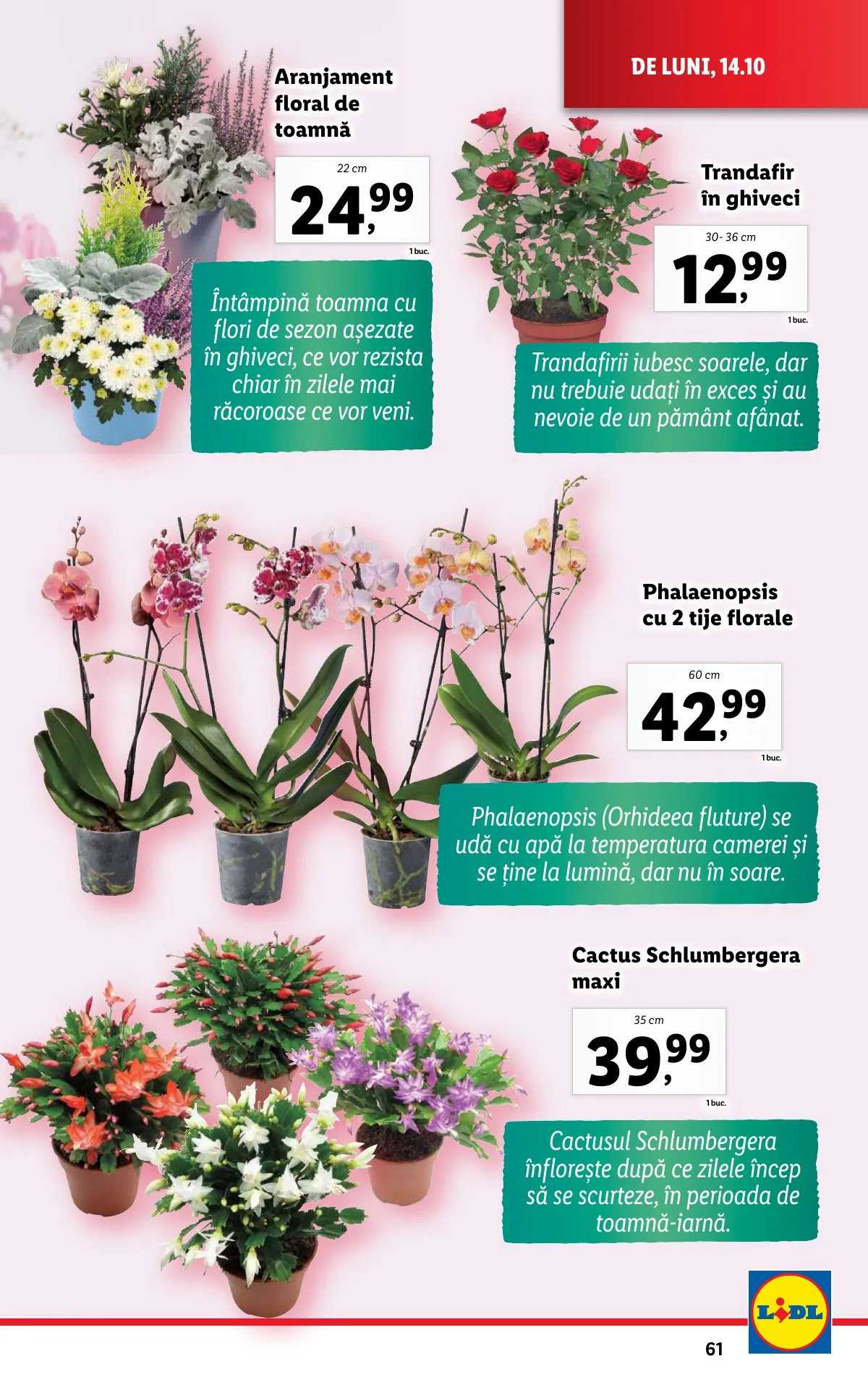 Lidl akciós újság Románia 10.14–10.20 – 61. oldal