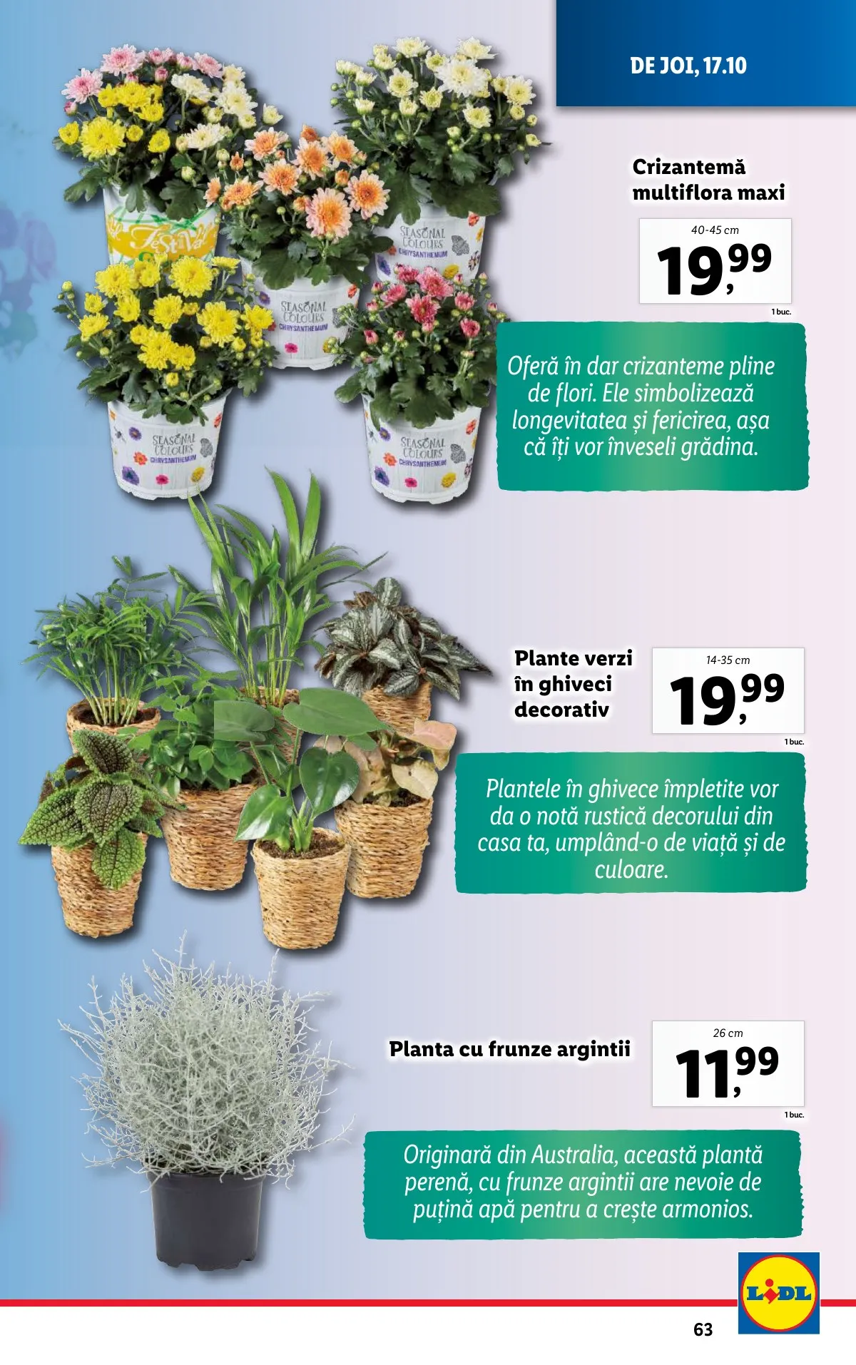 Lidl akciós újság Románia 10.14–10.20 – 63. oldal