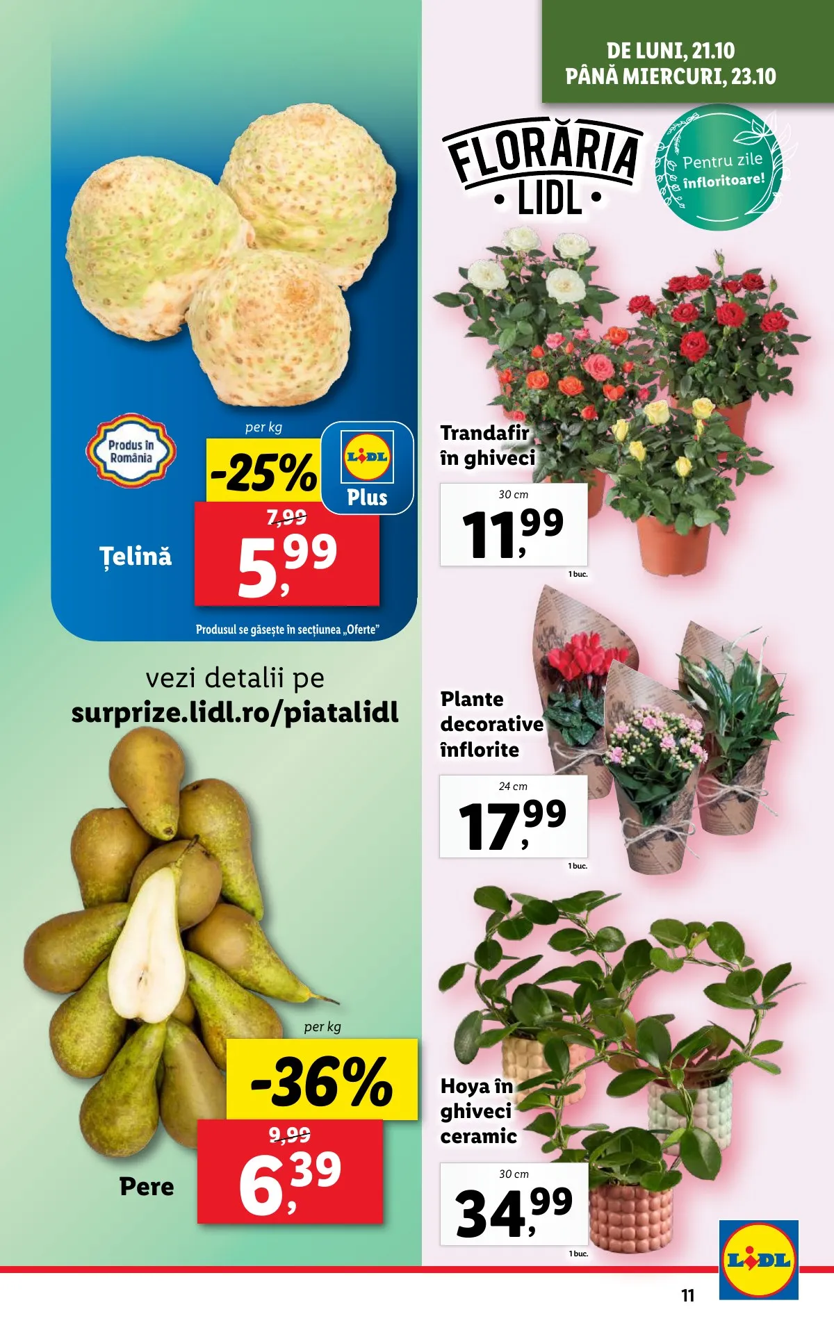 Lidl akciós újság Románia 10.21–10.27 – 11. oldal