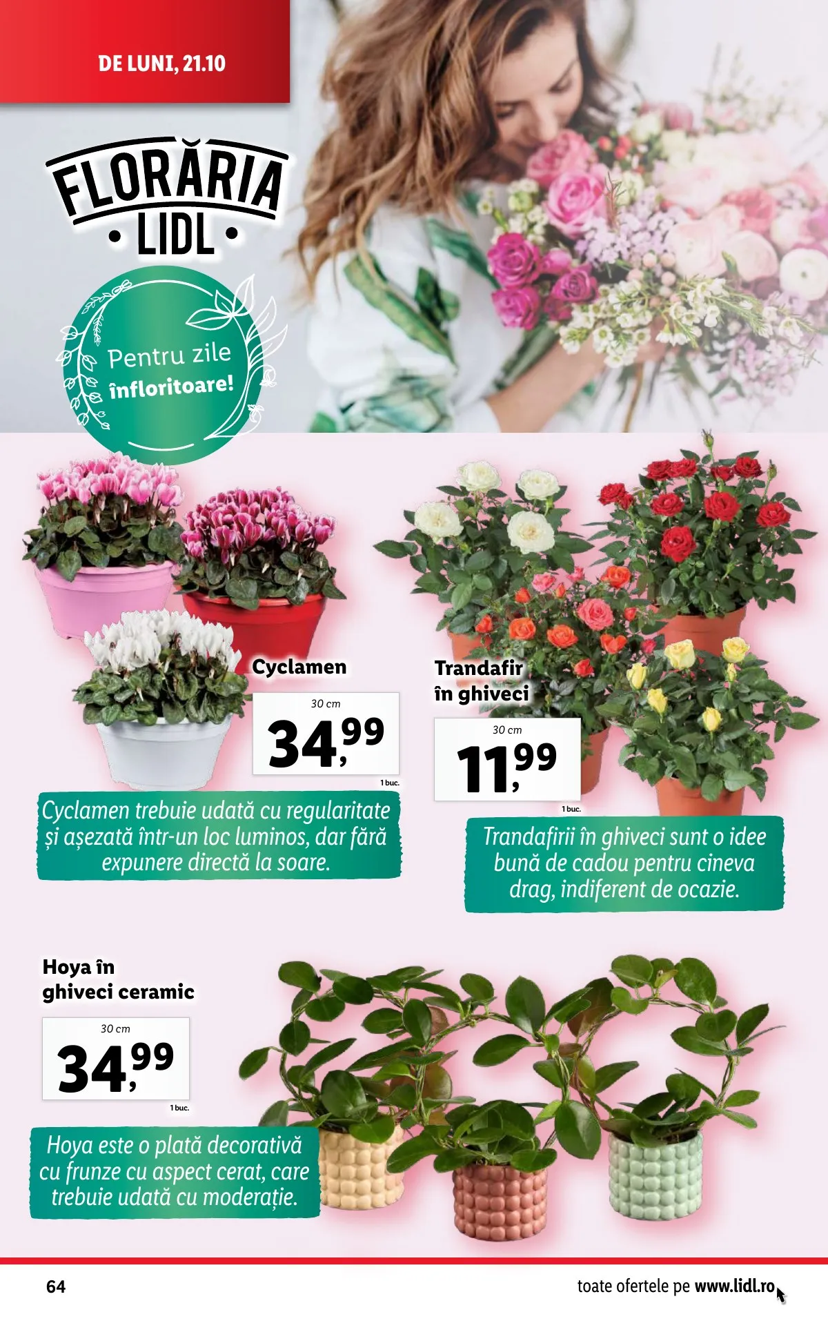 Lidl akciós újság Románia 10.21–10.27 – 64. oldal