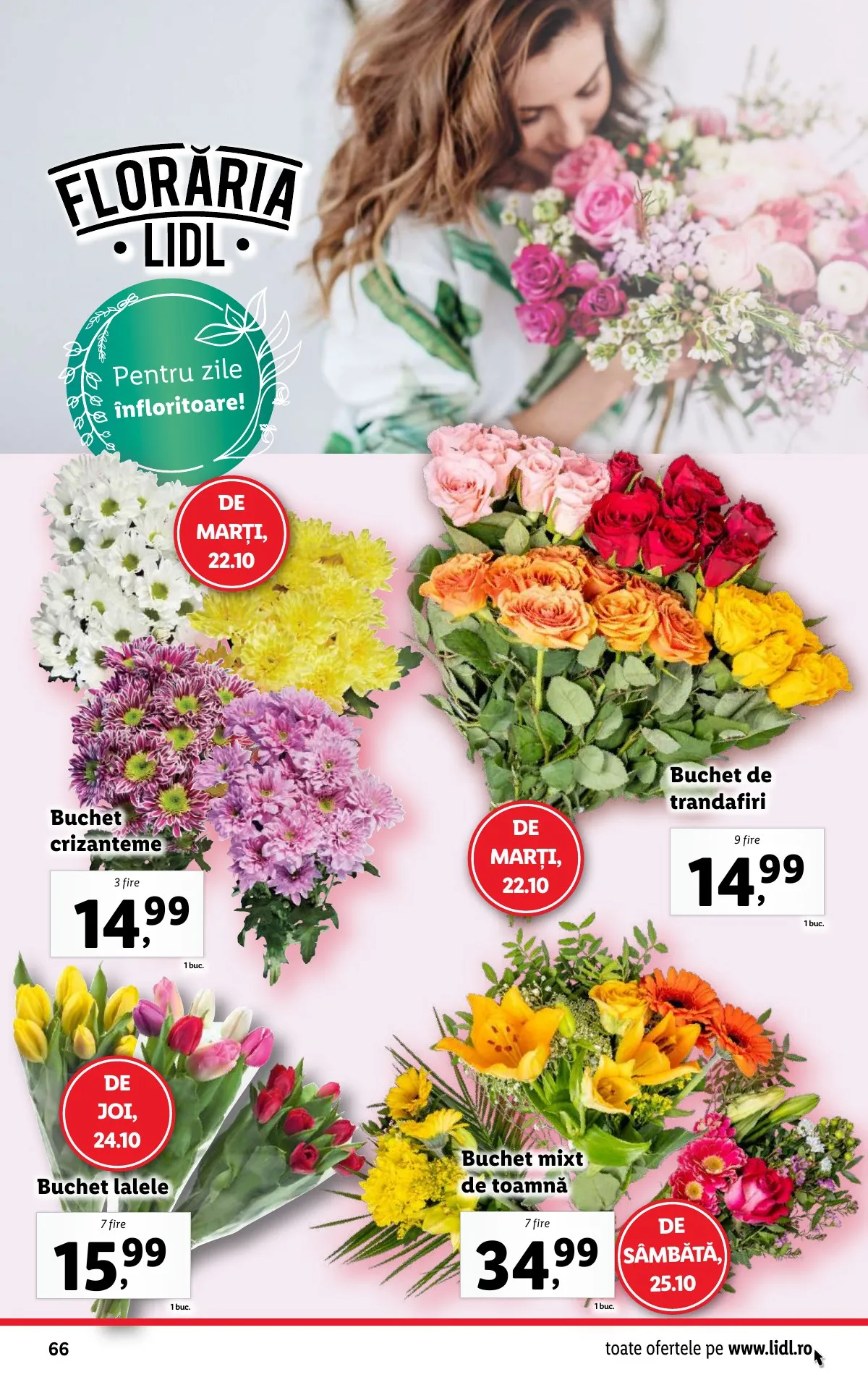 Lidl akciós újság Románia 10.21–10.27 – 66. oldal