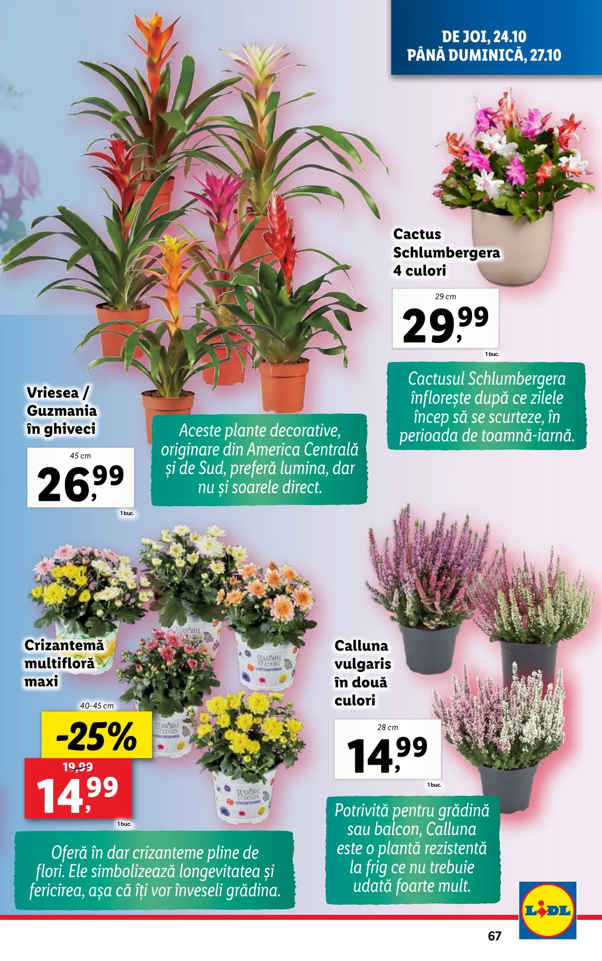 Lidl akciós újság Románia 10.21–10.27 – 67. oldal