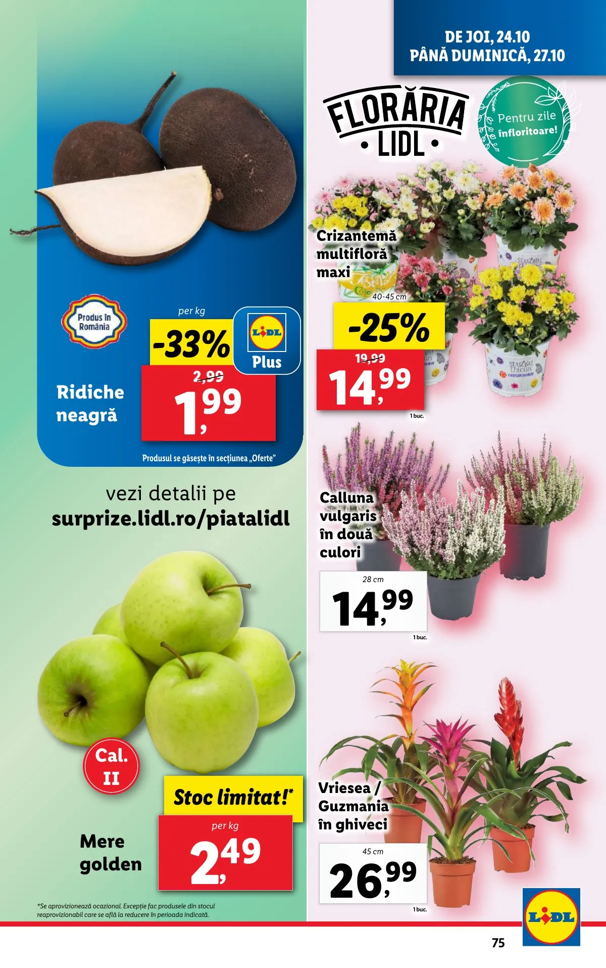 Lidl akciós újság Románia 10.21–10.27 – 75. oldal