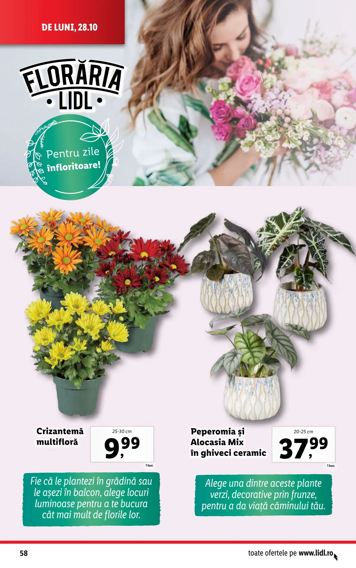 Lidl akciós újság Románia 10.28–11.03 – 58. oldal