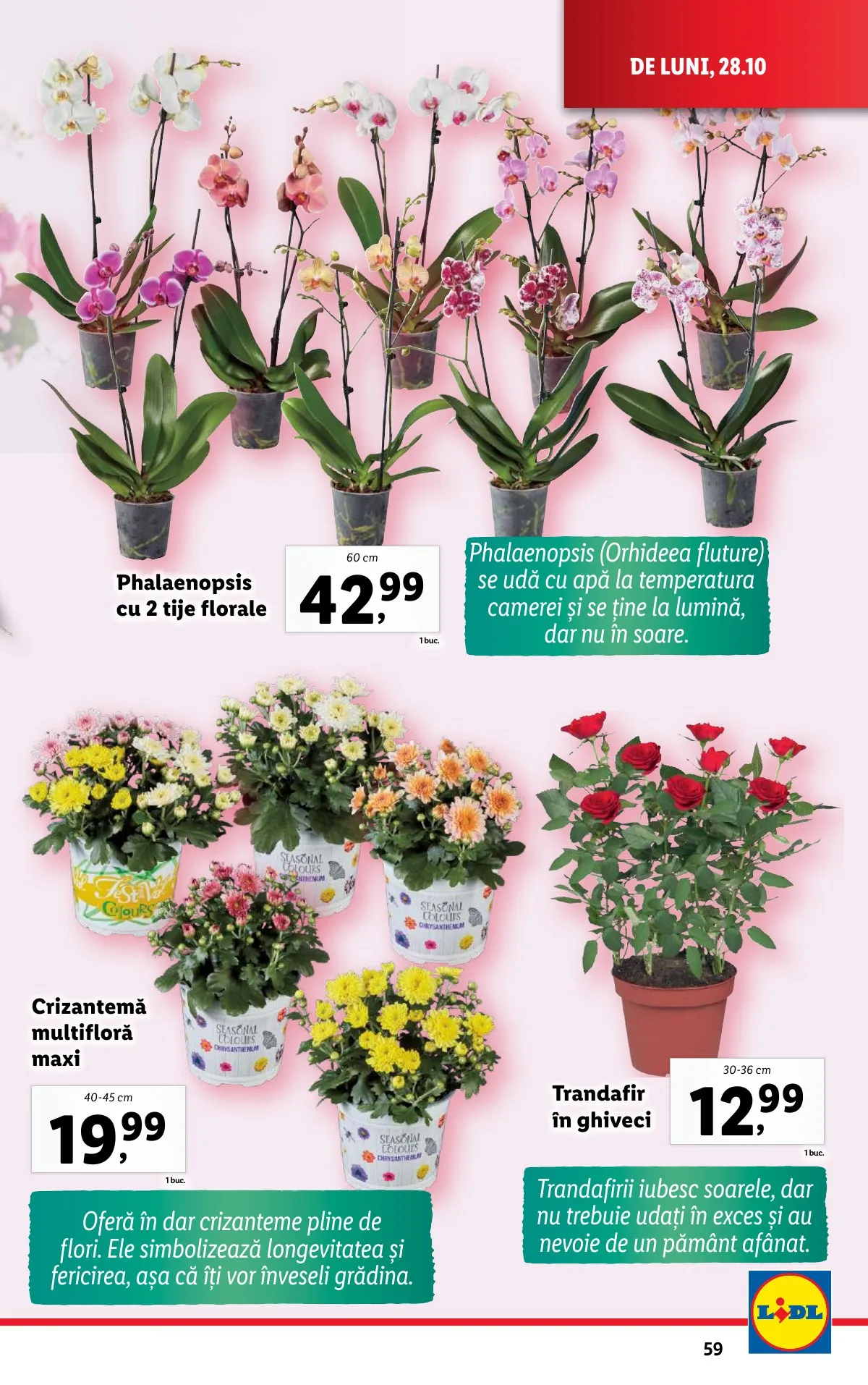 Lidl akciós újság Románia 10.28–11.03 – 59. oldal