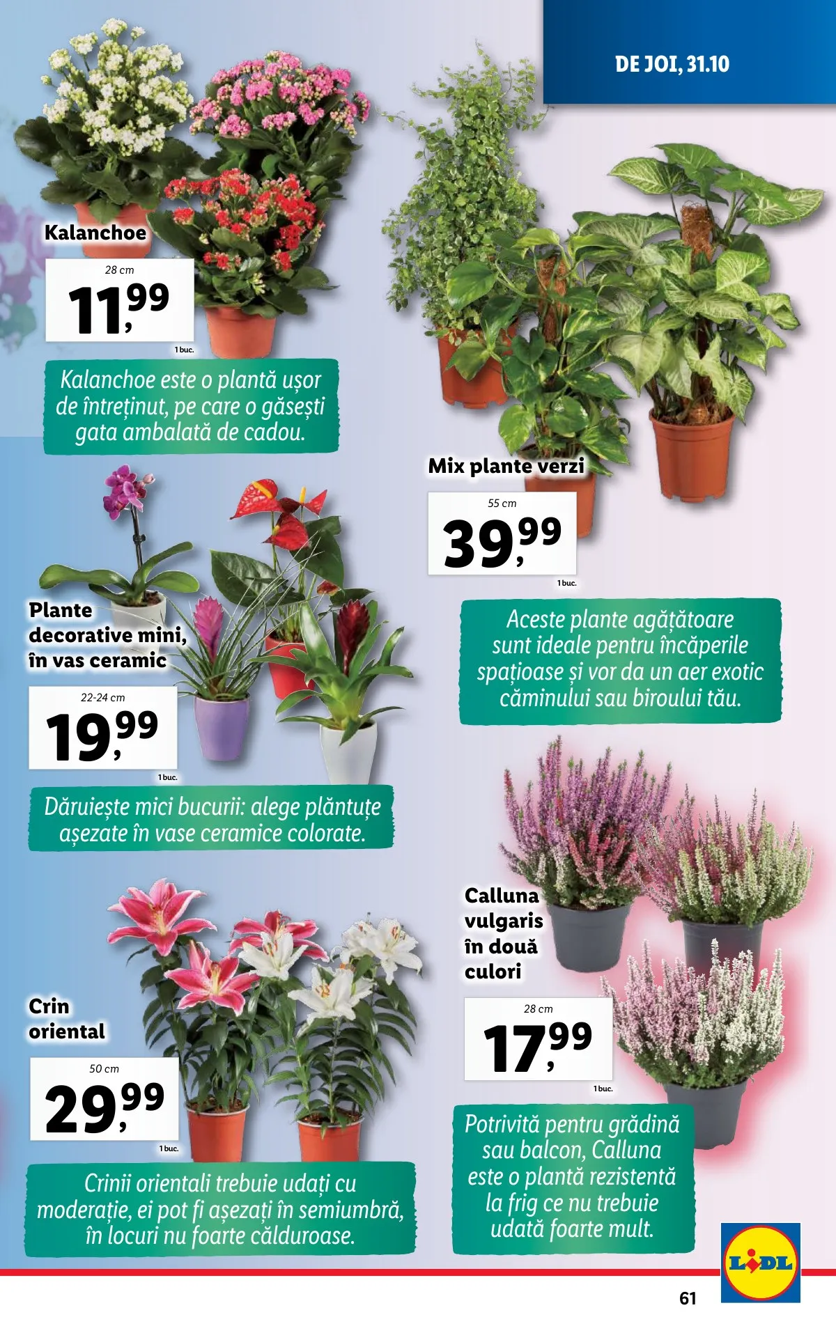 Lidl akciós újság Románia 10.28–11.03 – 61. oldal