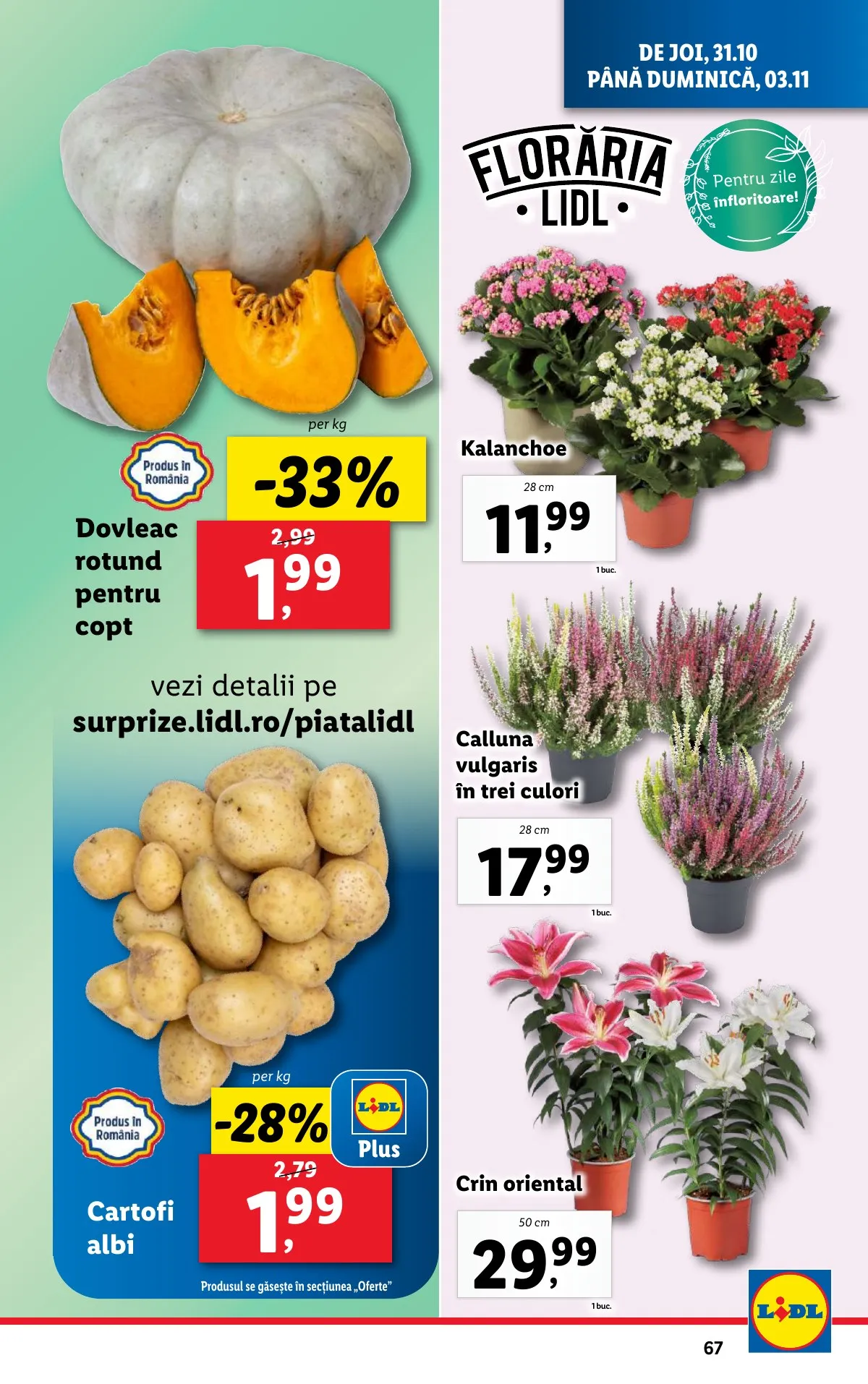 Lidl akciós újság Románia 10.28–11.03 – 67. oldal