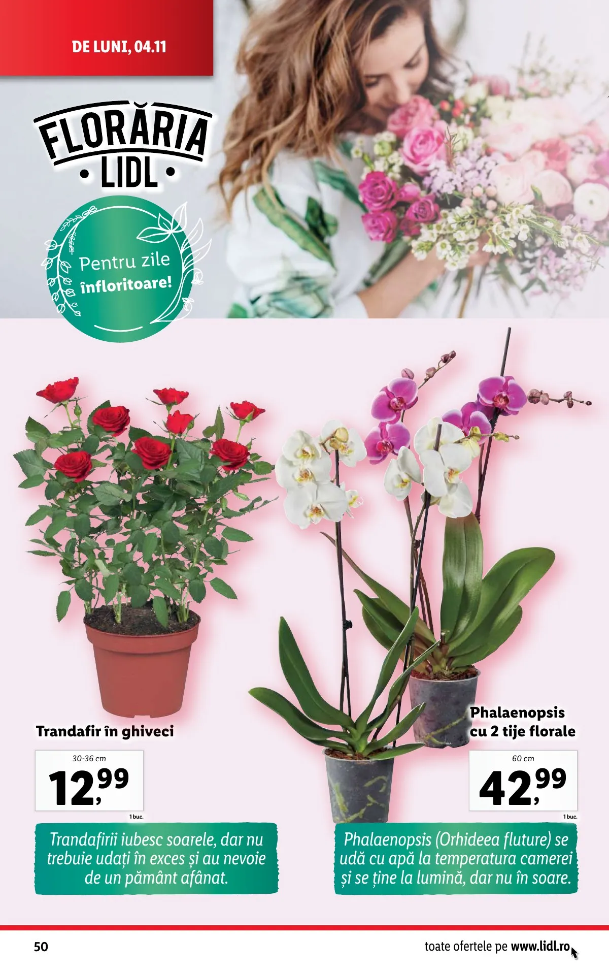 Lidl akciós újság Románia 11.04–11.10 – 50. oldal