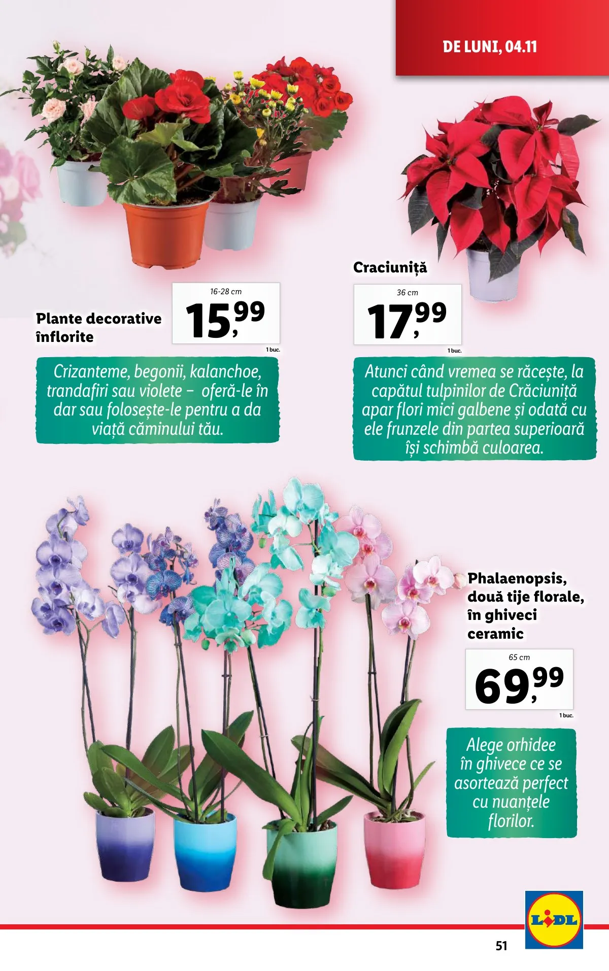 Lidl akciós újság Románia 11.04–11.10 – 51. oldal