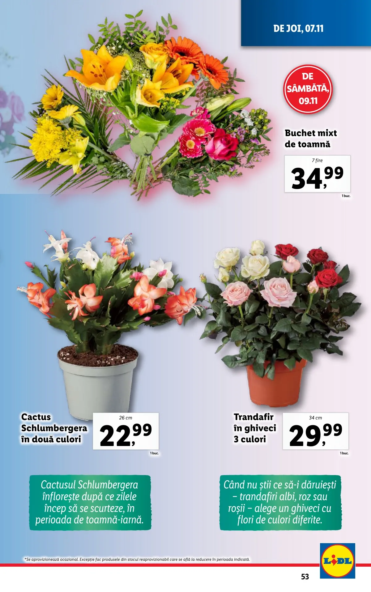 Lidl akciós újság Románia 11.04–11.10 – 53. oldal