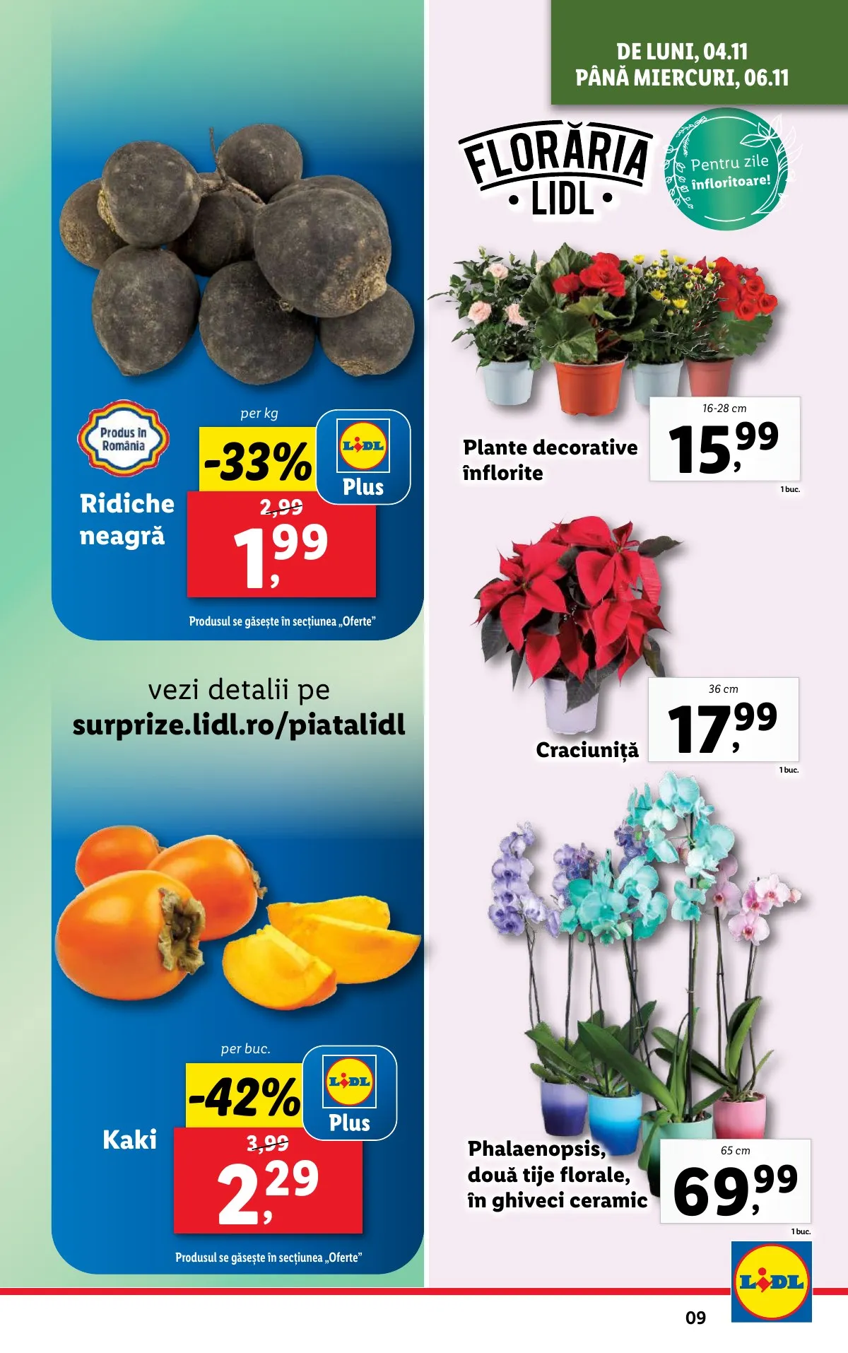 Lidl akciós újság Románia 11.04–11.10 – 9. oldal