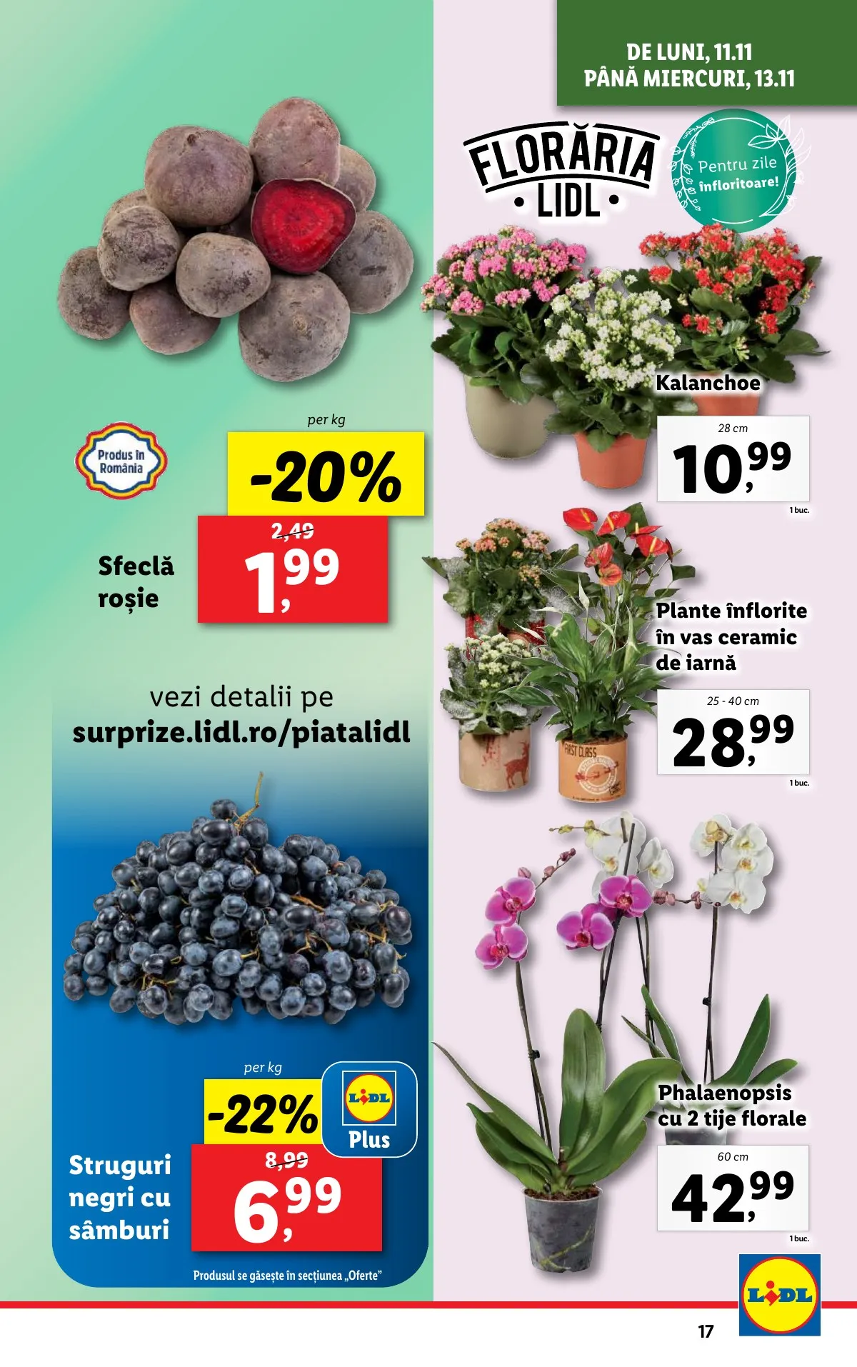 Lidl akciós újság Románia 11.11–11.17 – 17. oldal