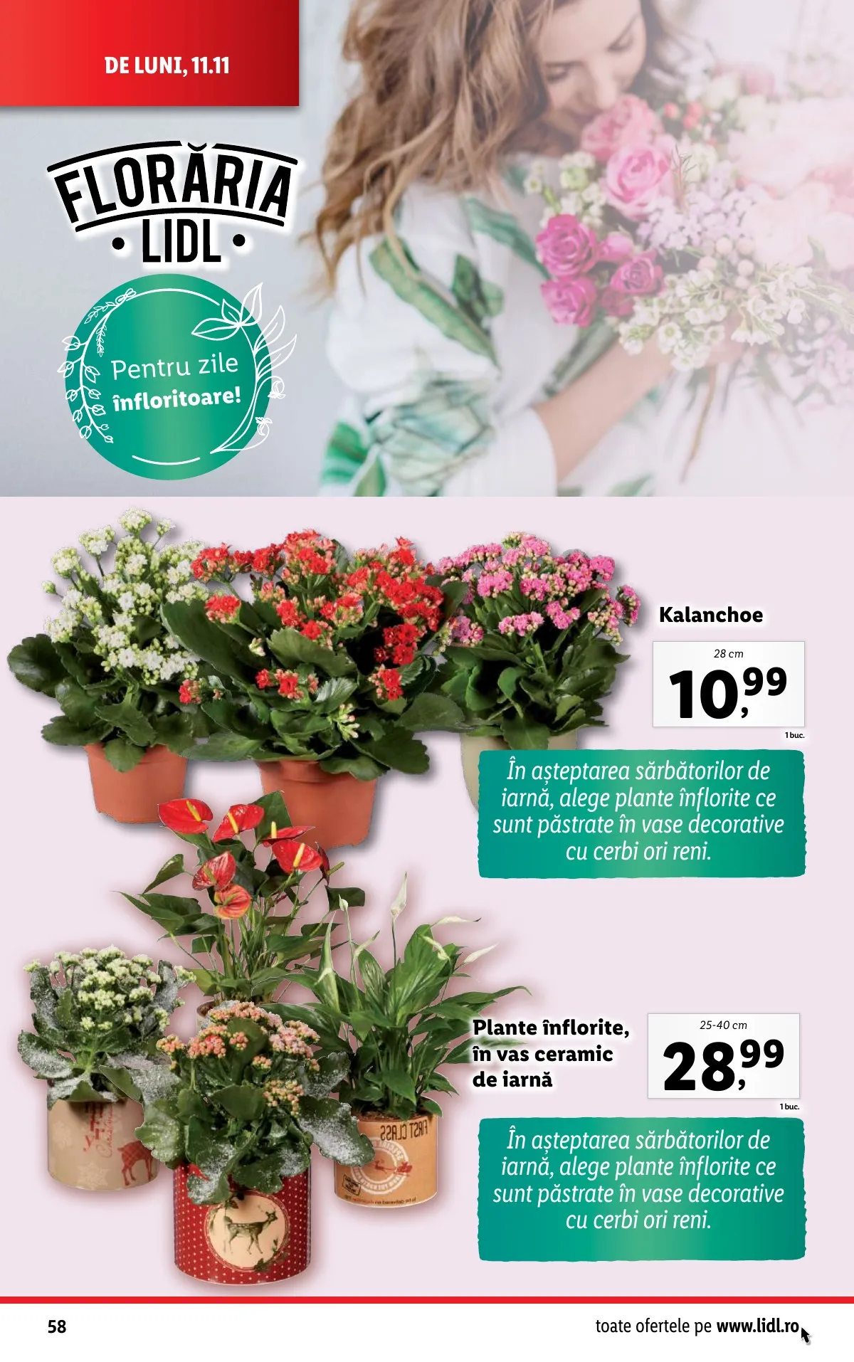 Lidl akciós újság Románia 11.11–11.17 – 58. oldal