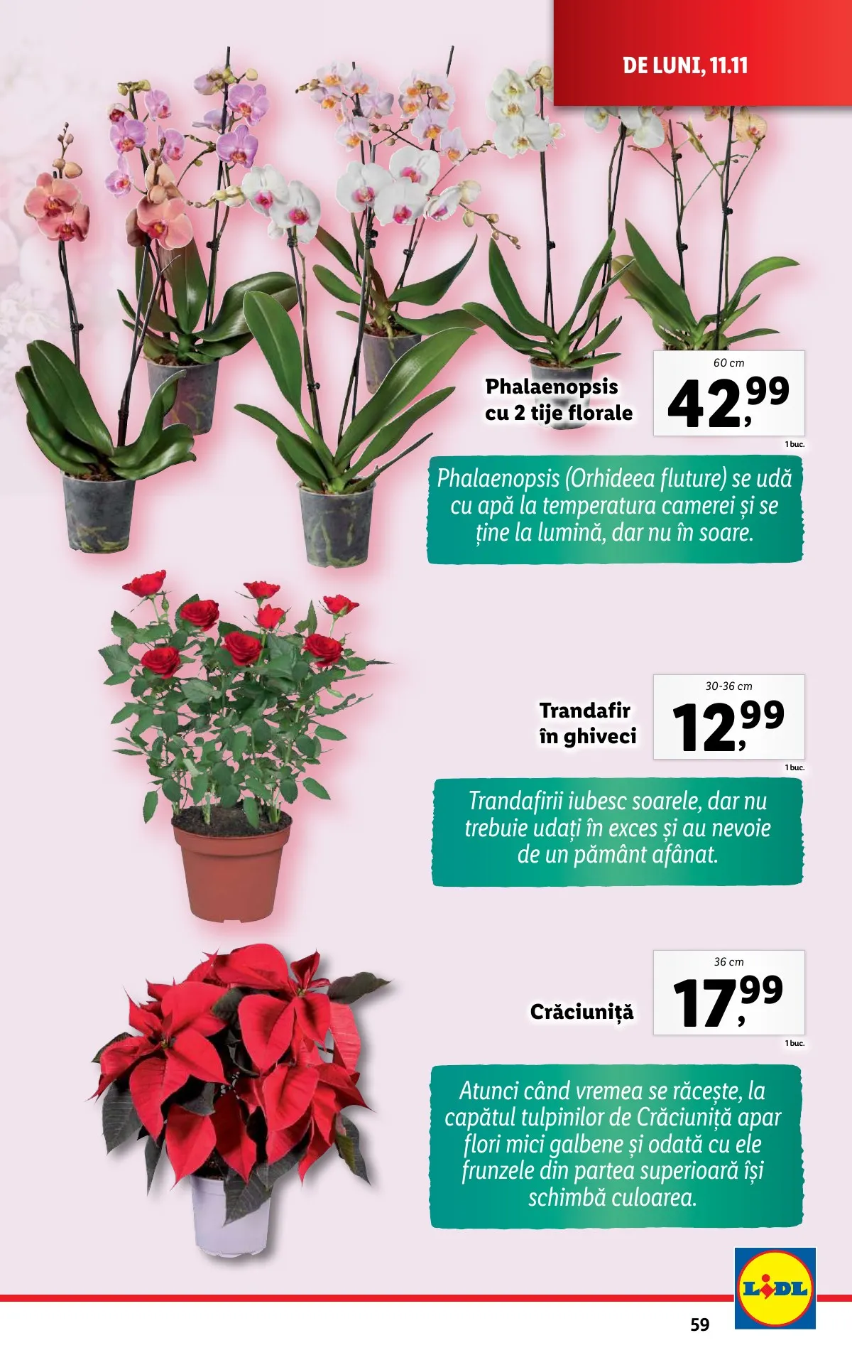 Lidl akciós újság Románia 11.11–11.17 – 59. oldal