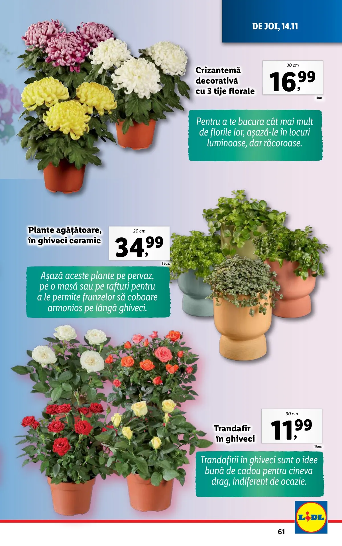 Lidl akciós újság Románia 11.11–11.17 – 61. oldal