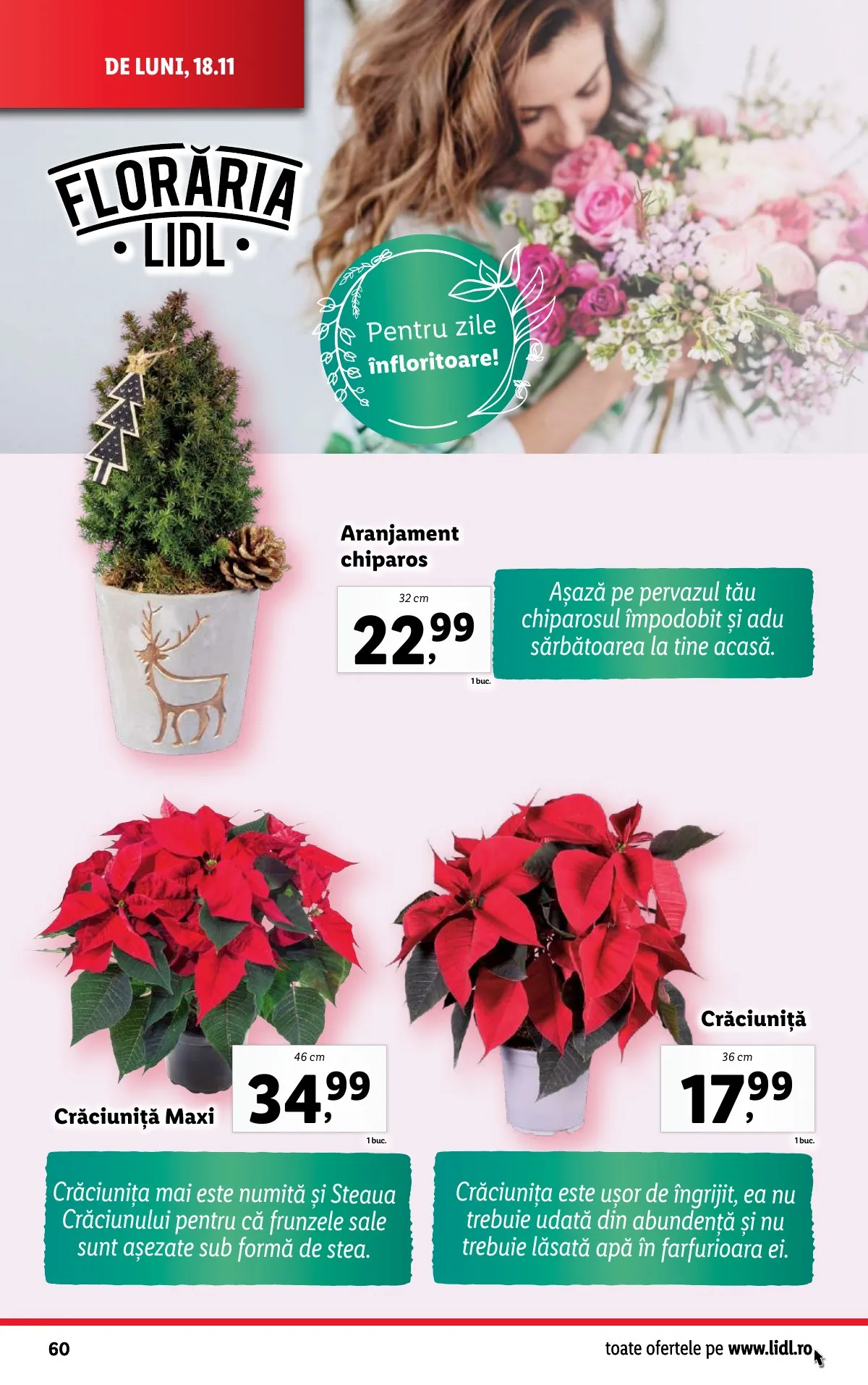 Lidl akciós újság Románia 11.18–11.24 – 60. oldal