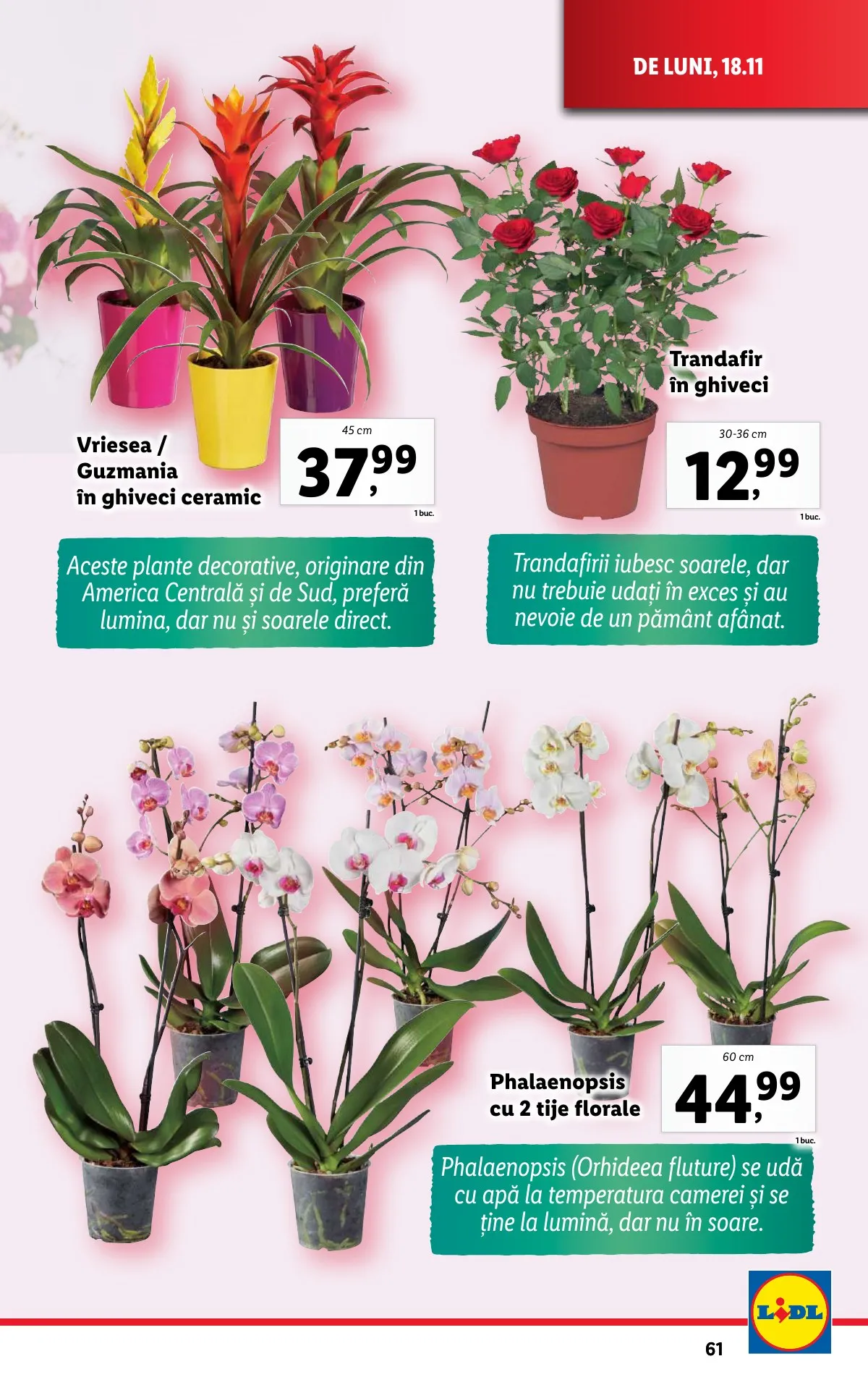 Lidl akciós újság Románia 11.18–11.24 – 61. oldal