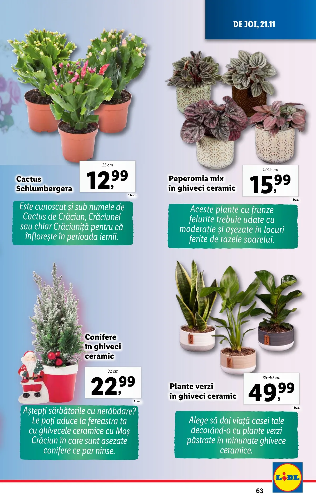 Lidl akciós újság Románia 11.18–11.24 – 63. oldal