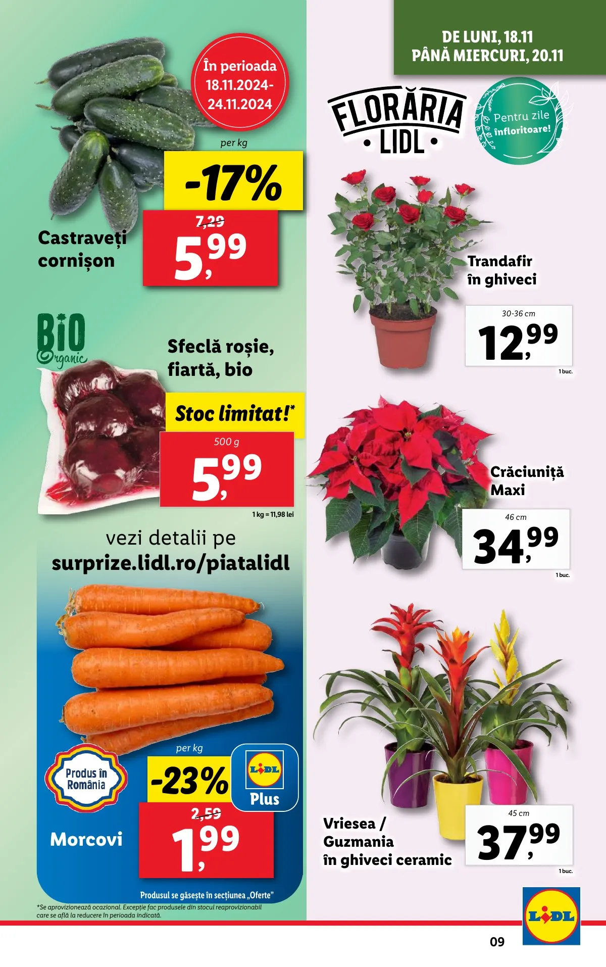 Lidl akciós újság Románia 11.18–11.24 – 9. oldal