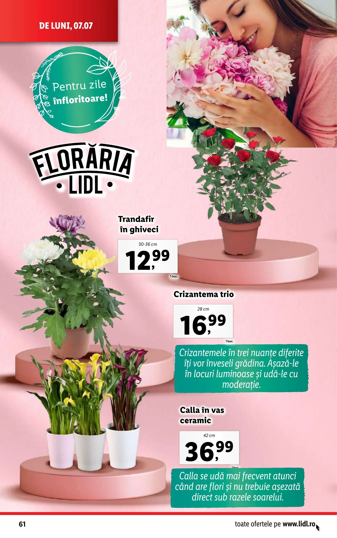 Lidl akciós újság Románia 07.07–07.13 – 62. oldal