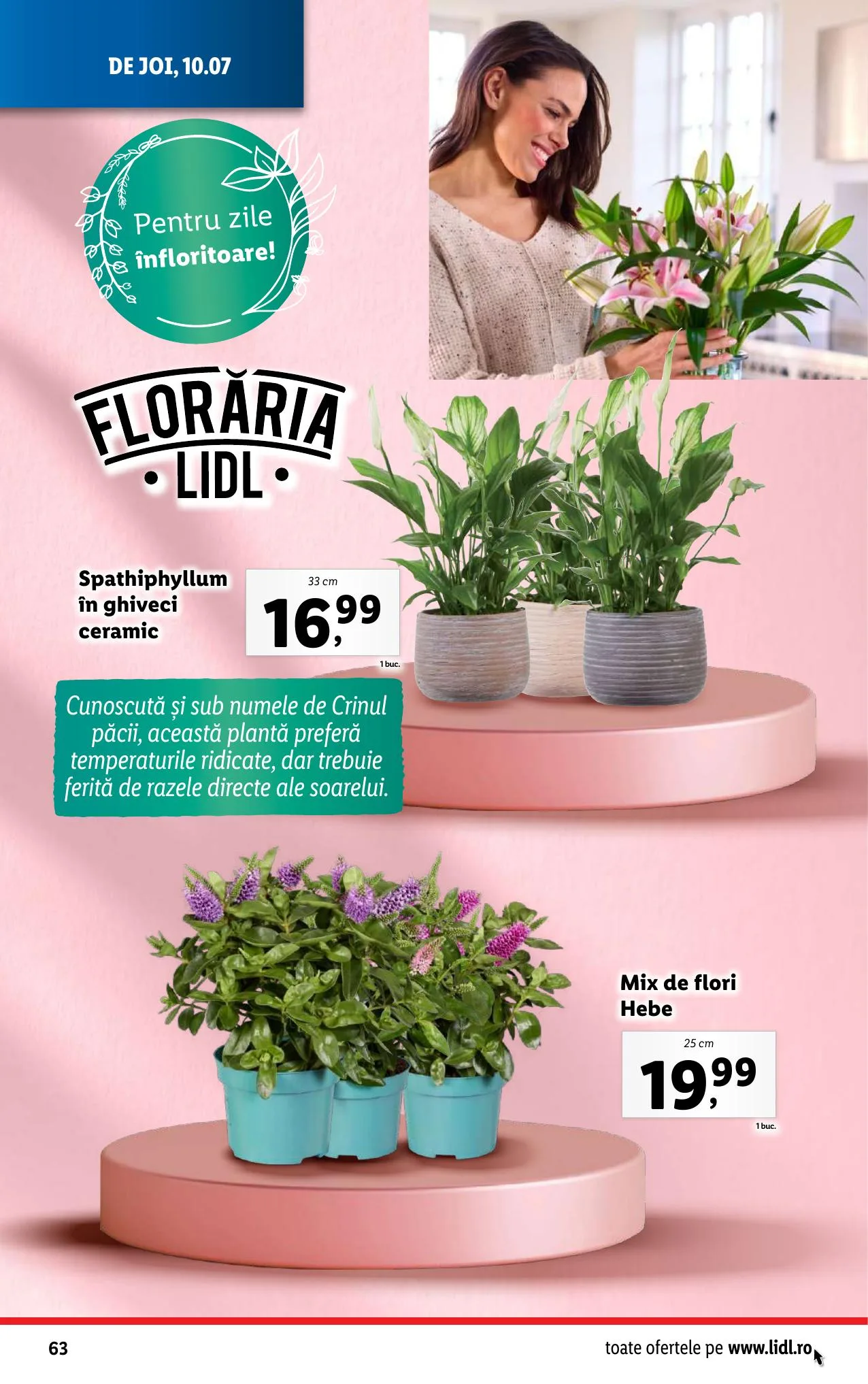 Lidl akciós újság Románia 07.07–07.13 – 64. oldal