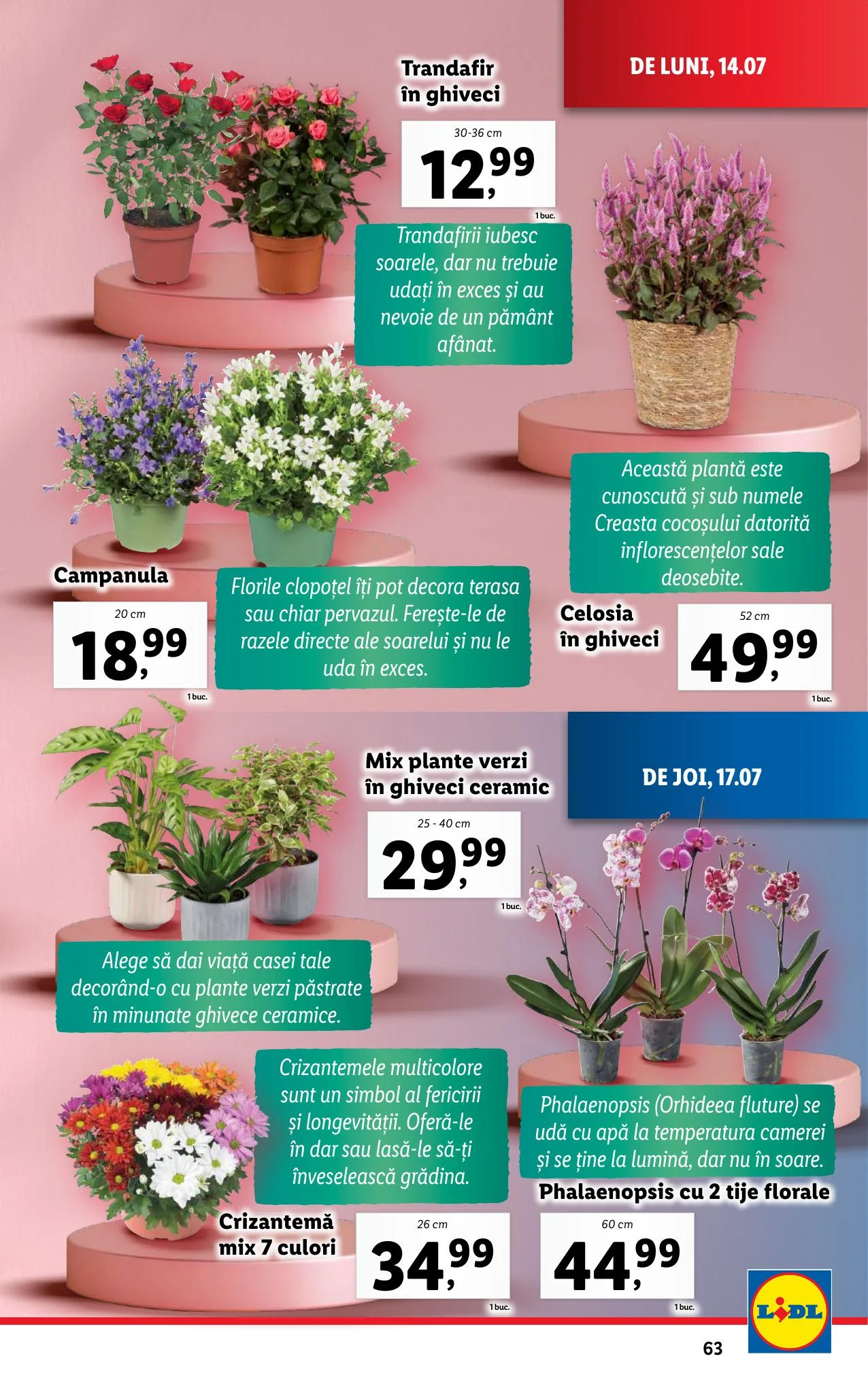 Lidl akciós újság Románia 07.14–07.20 – 63. oldal