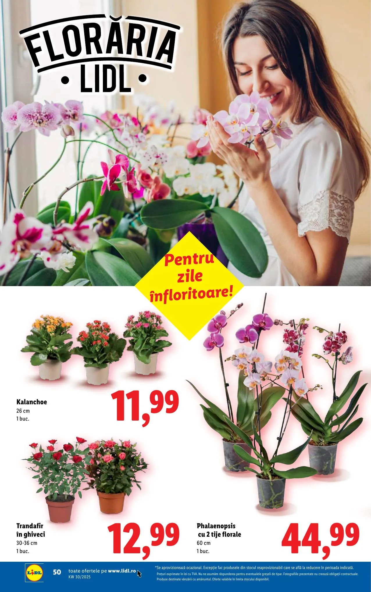 Lidl akciós újság Románia 07.21–07.27 – 50. oldal