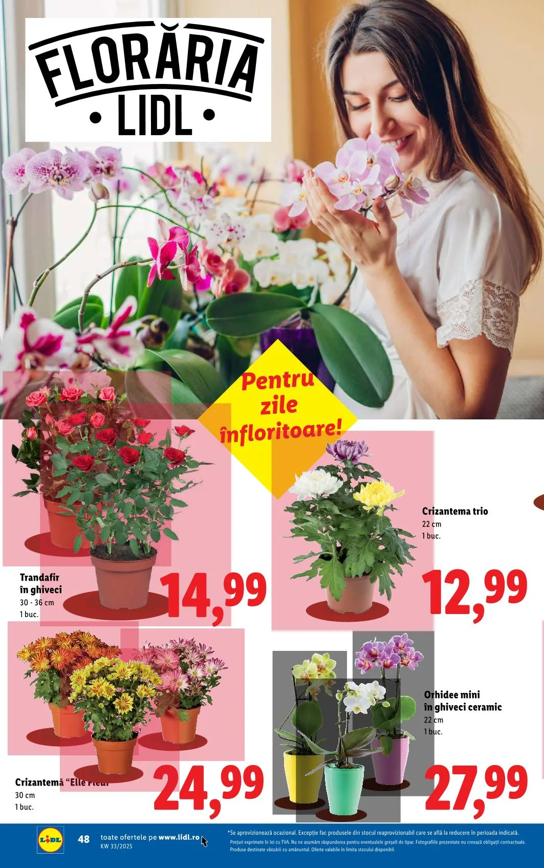 Lidl akciós újság Románia 08.11–08.17 – 46. oldal
