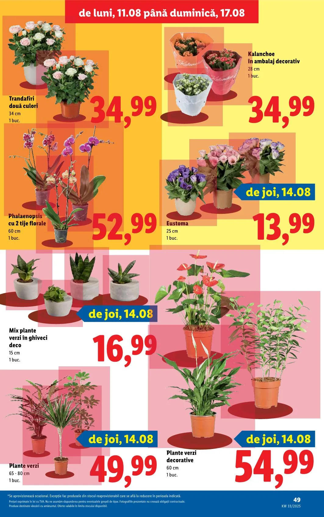 Lidl akciós újság Románia 08.11–08.17 – 47. oldal