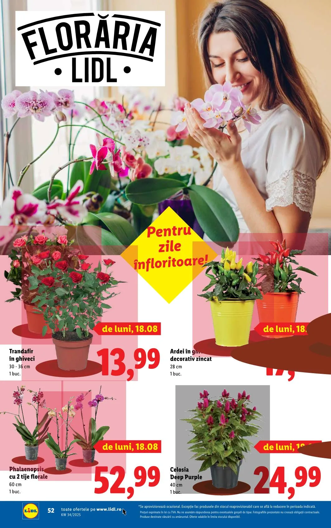 Lidl akciós újság Románia 08.18–08.24 – 48. oldal