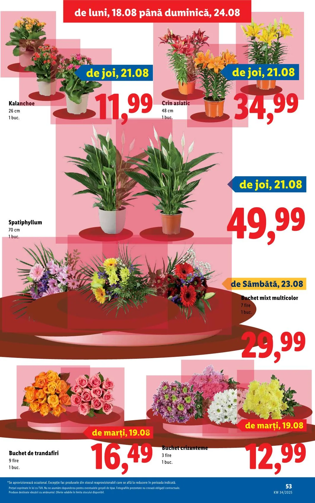 Lidl akciós újság Románia 08.18–08.24 – 49. oldal