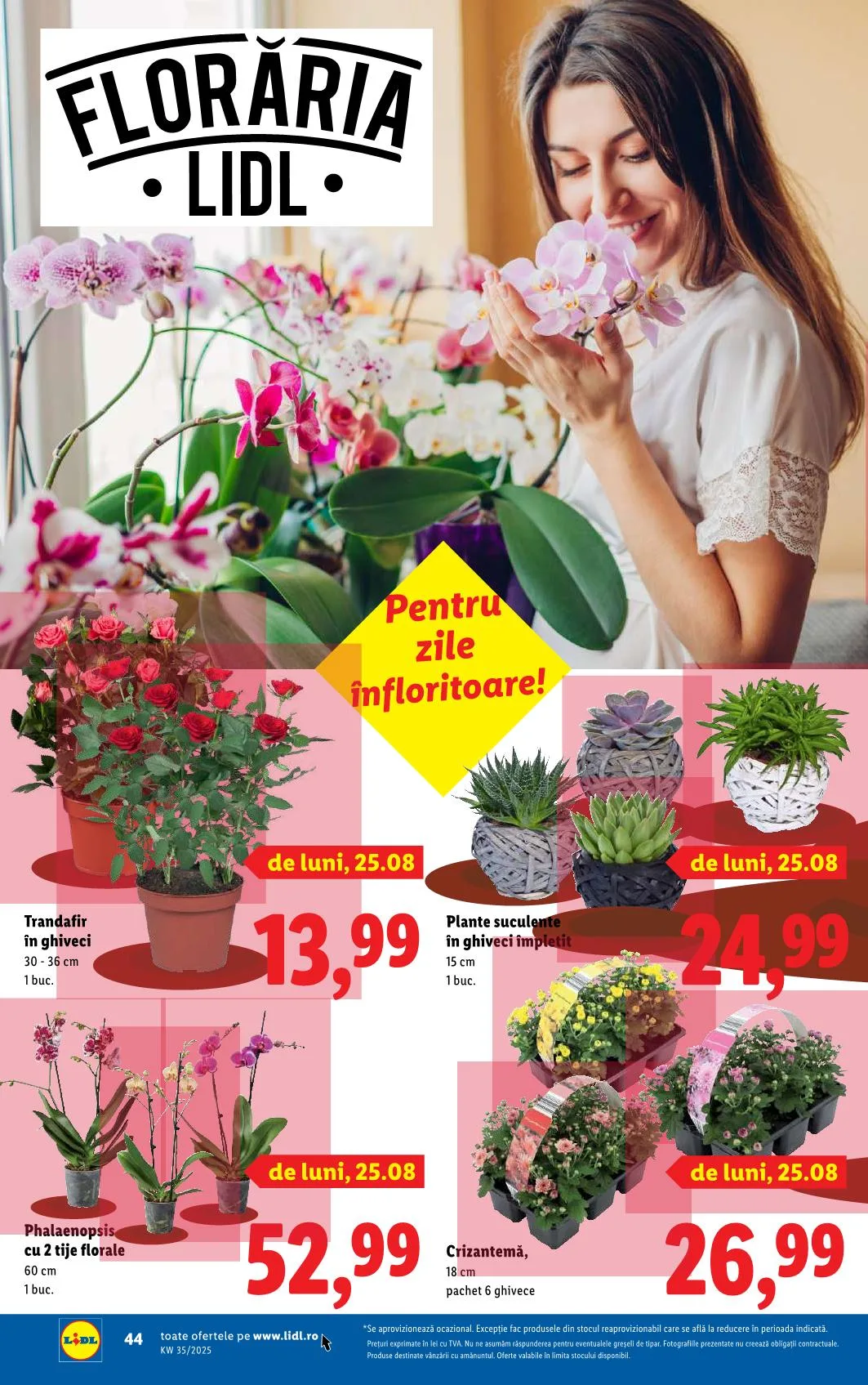Lidl akciós újság Románia 08.25–08.31 – 39. oldal