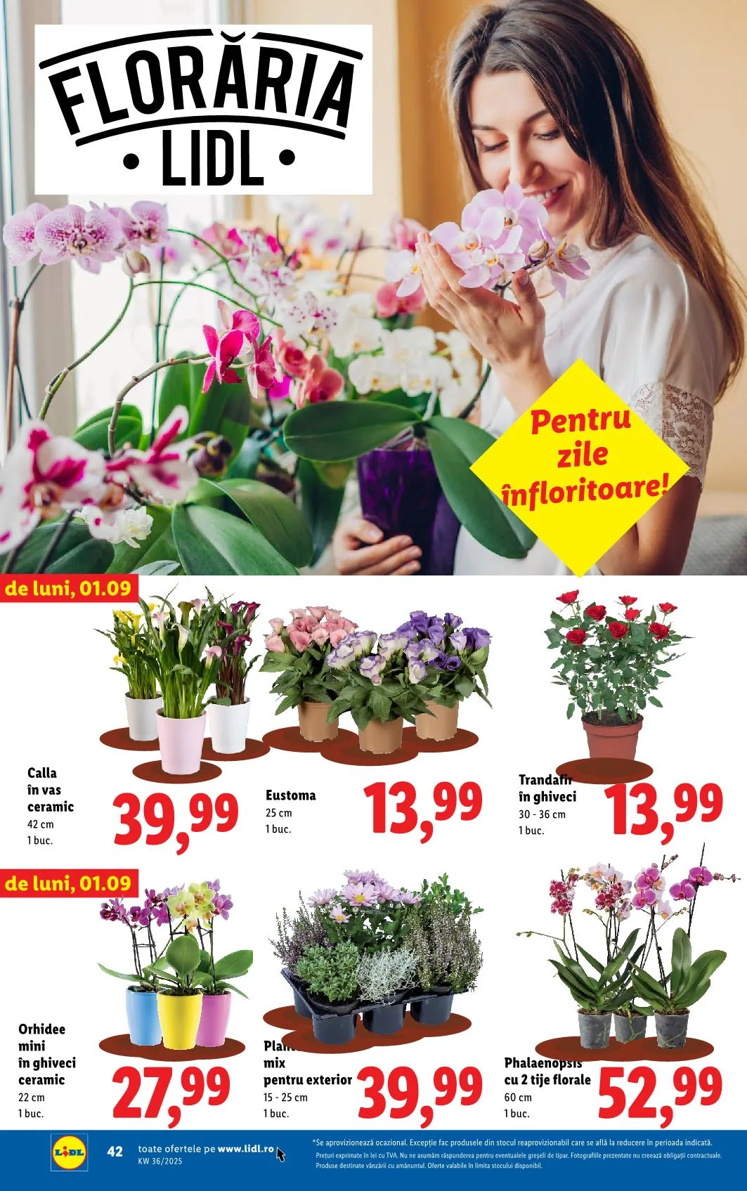 Lidl akciós újság Románia 09.01–09.07 – 37. oldal
