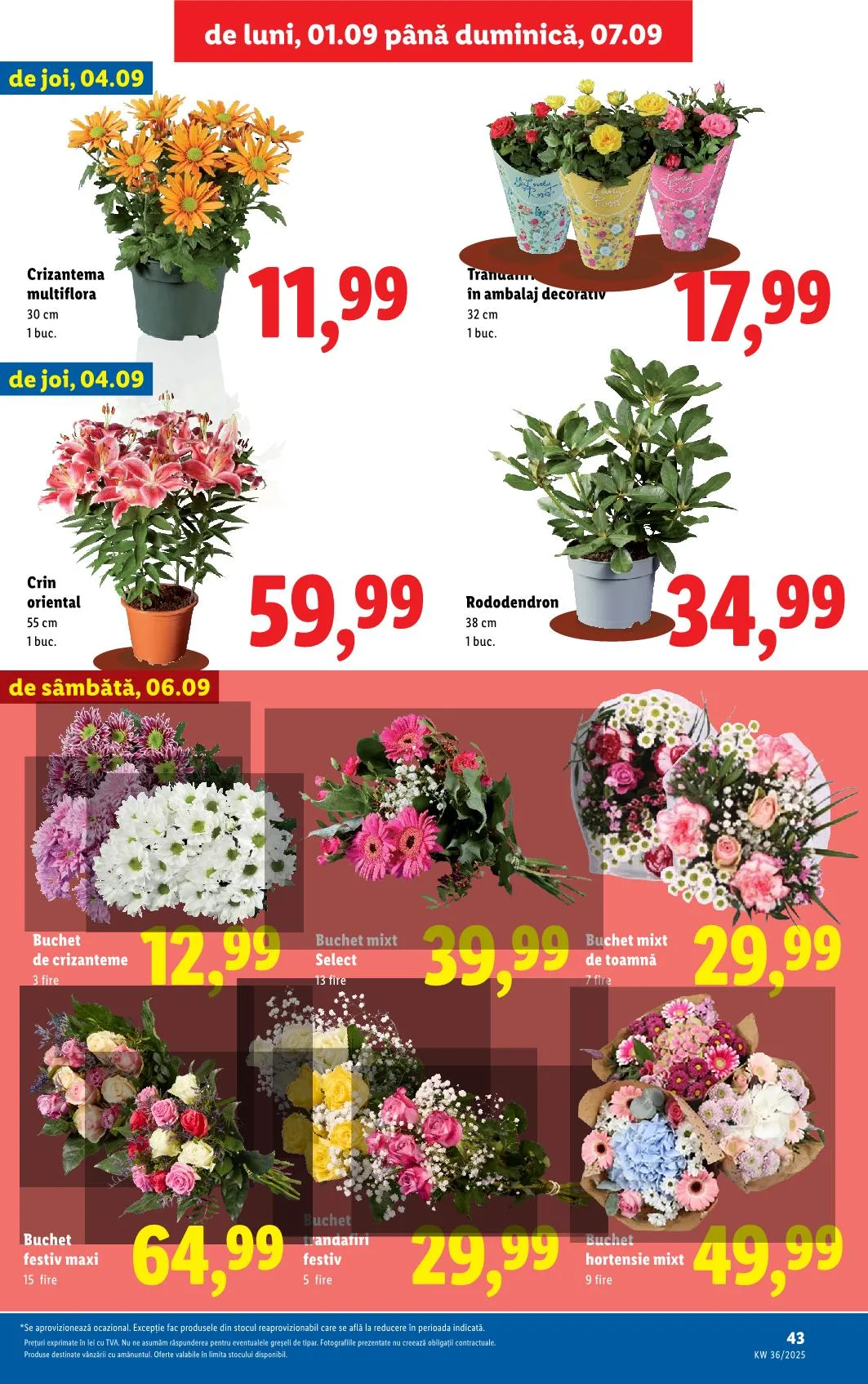 Lidl akciós újság Románia 09.01–09.07 – 38. oldal