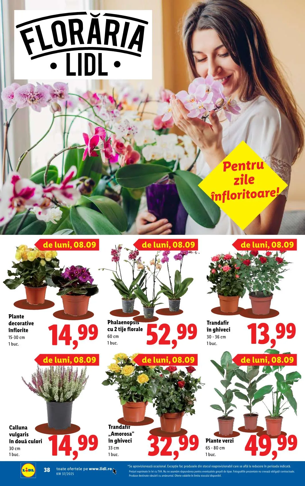 Lidl akciós újság Románia 09.08–09.14 – 35. oldal