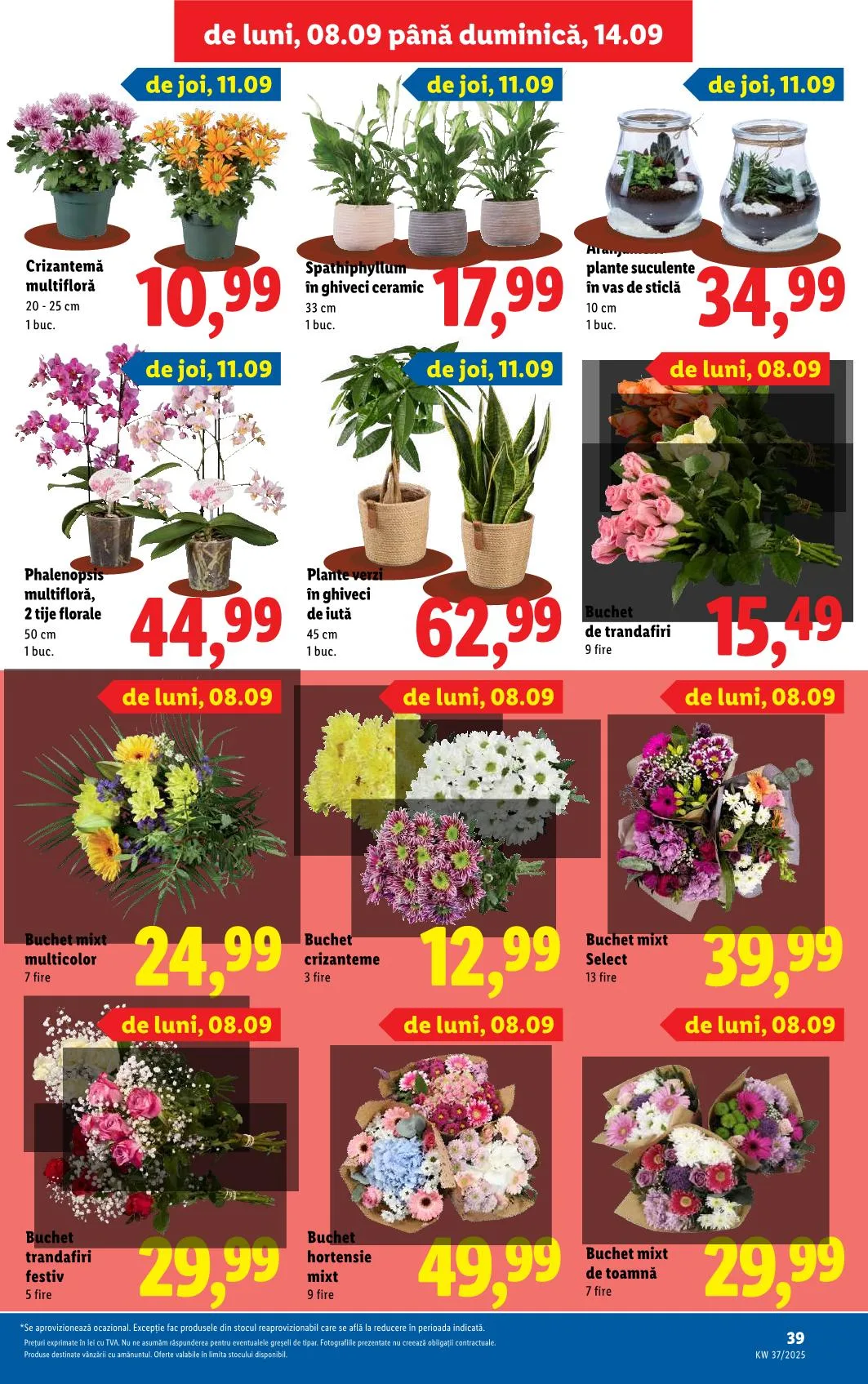 Lidl akciós újság Románia 09.08–09.14 – 36. oldal