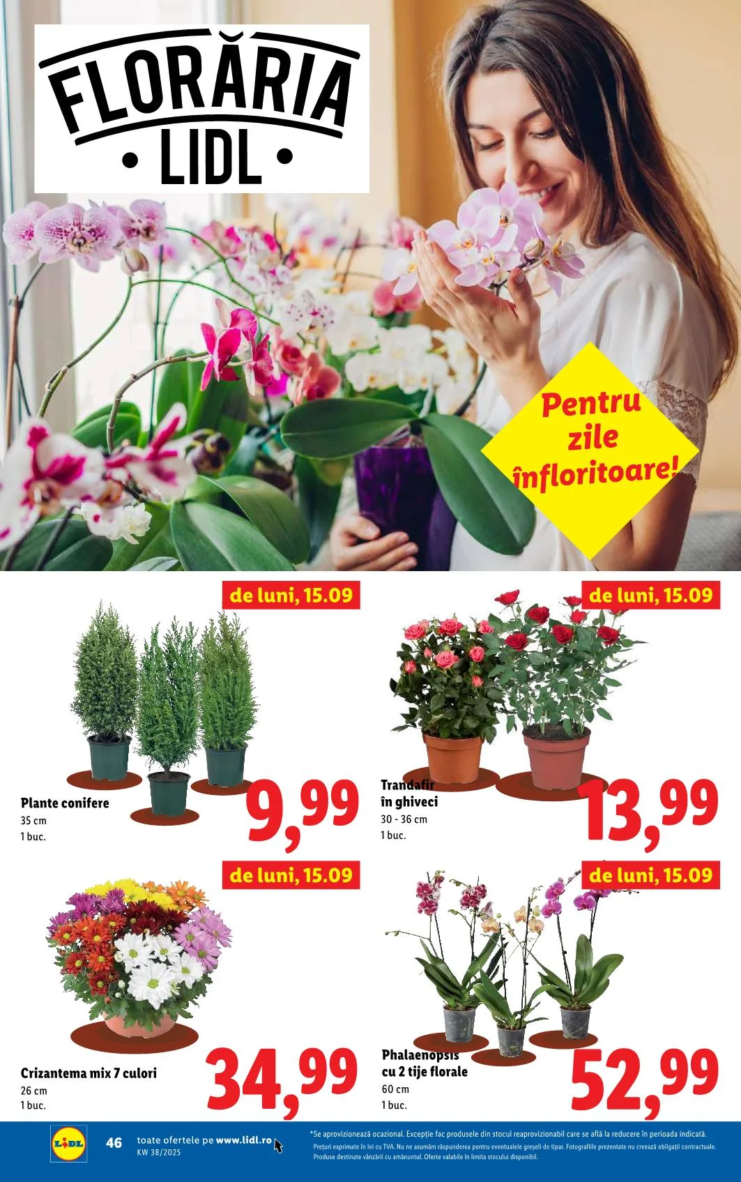 Lidl akciós újság Románia 09.15–09.21 – 43. oldal