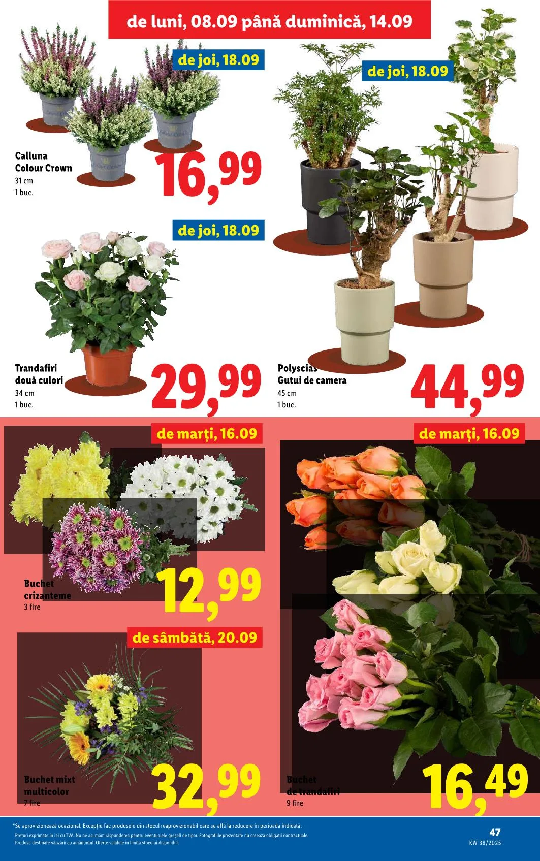 Lidl akciós újság Románia 09.15–09.21 – 44. oldal