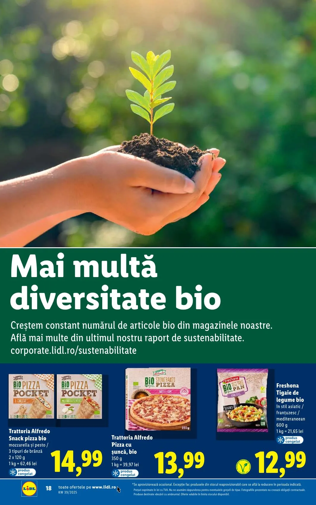 Lidl akciós újság Románia 09.22–09.28 – 10. oldal