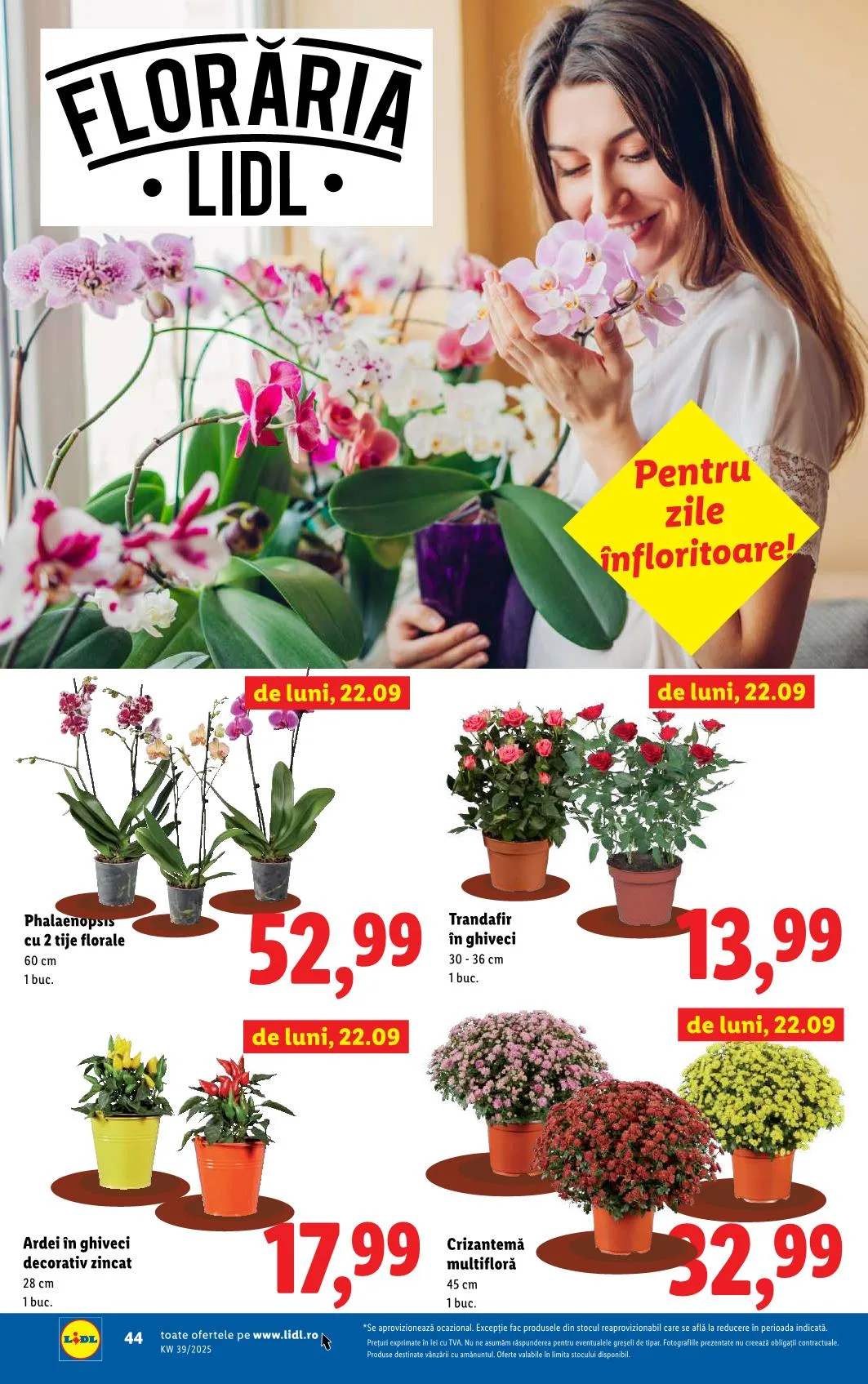 Lidl akciós újság Románia 09.22–09.28 – 39. oldal